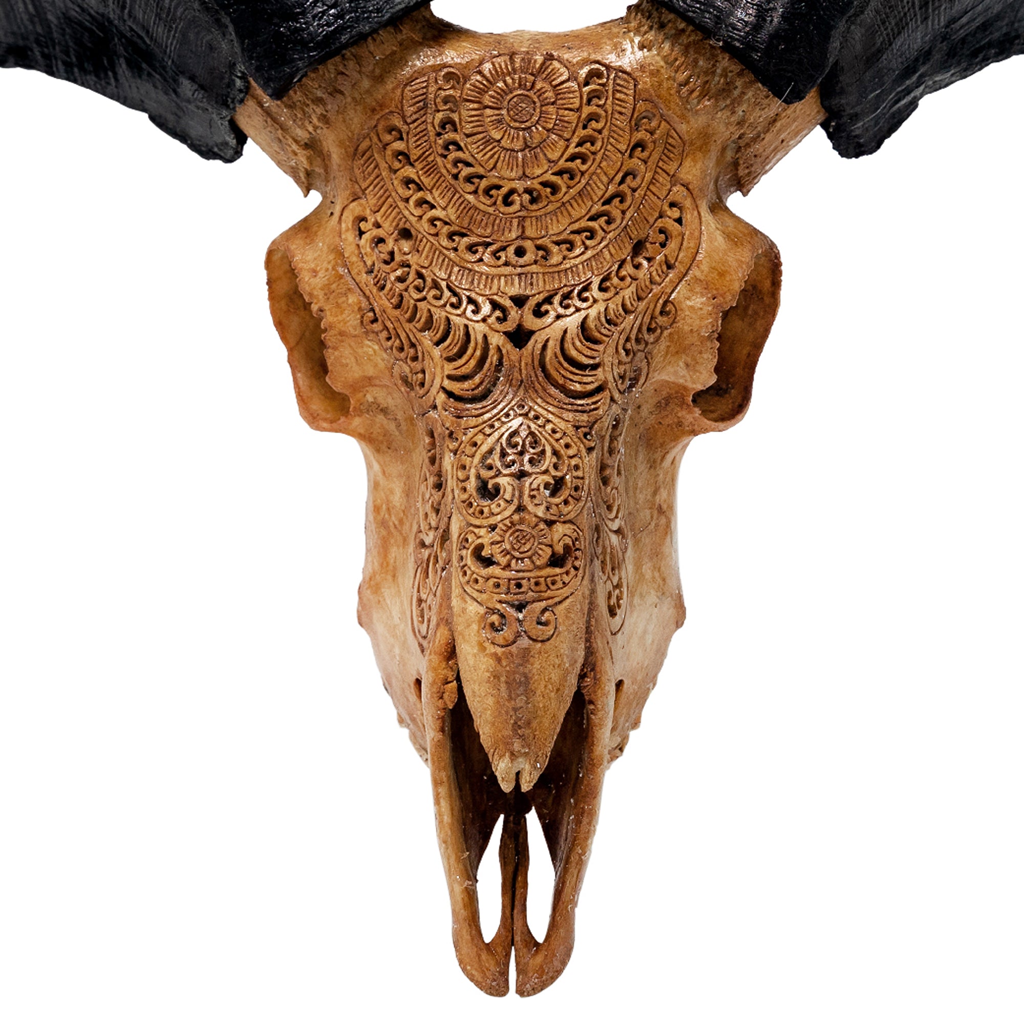Hand Carved Ram Skull - Antique Boho