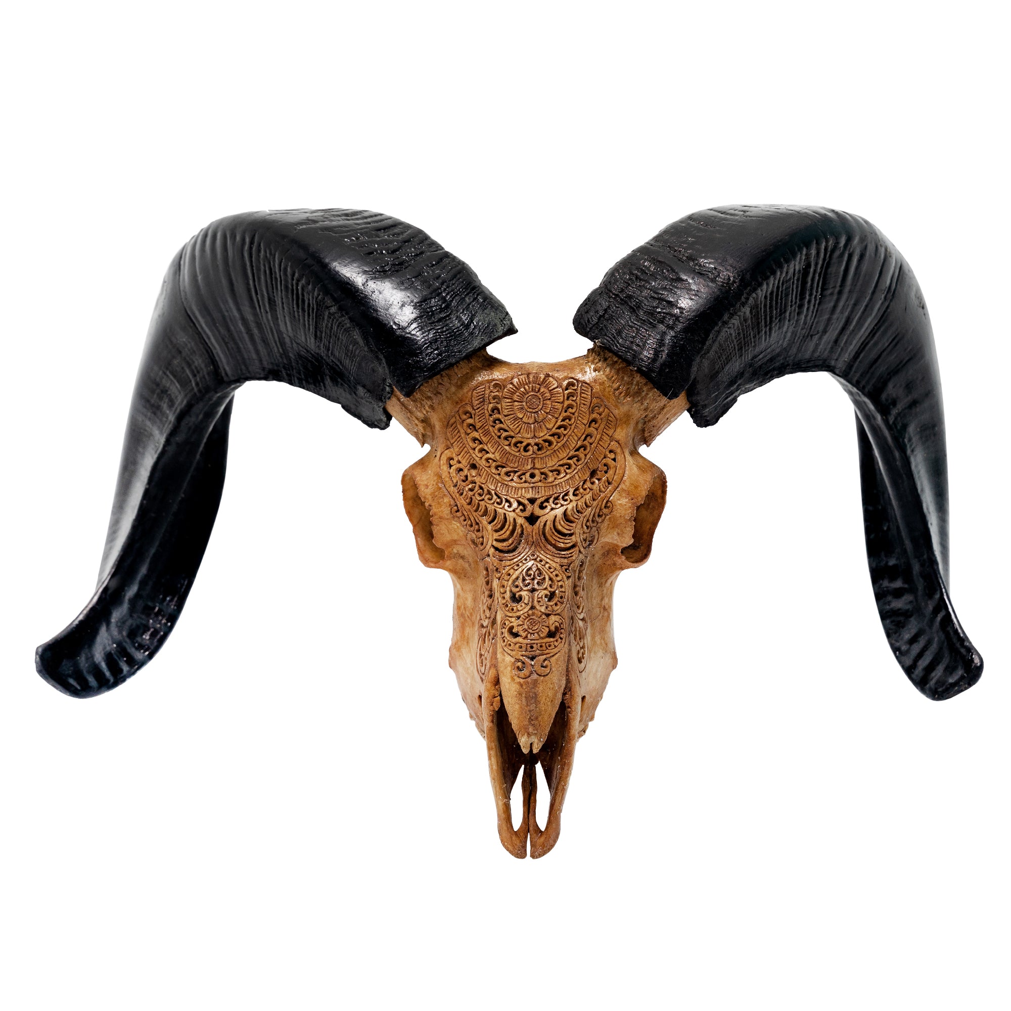 Hand Carved Ram Skull - Antique Boho