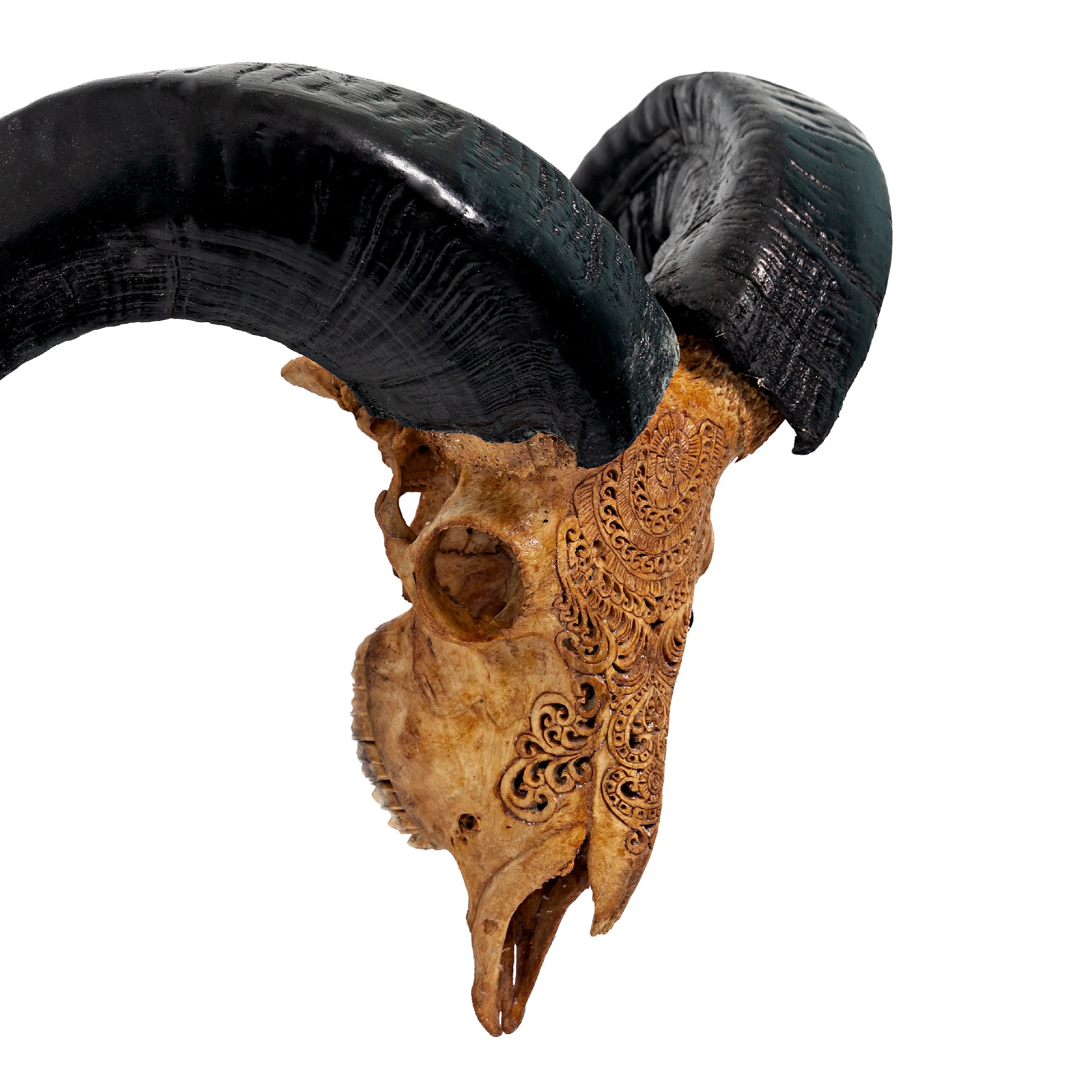 Hand Carved Ram Skull - Antique Boho