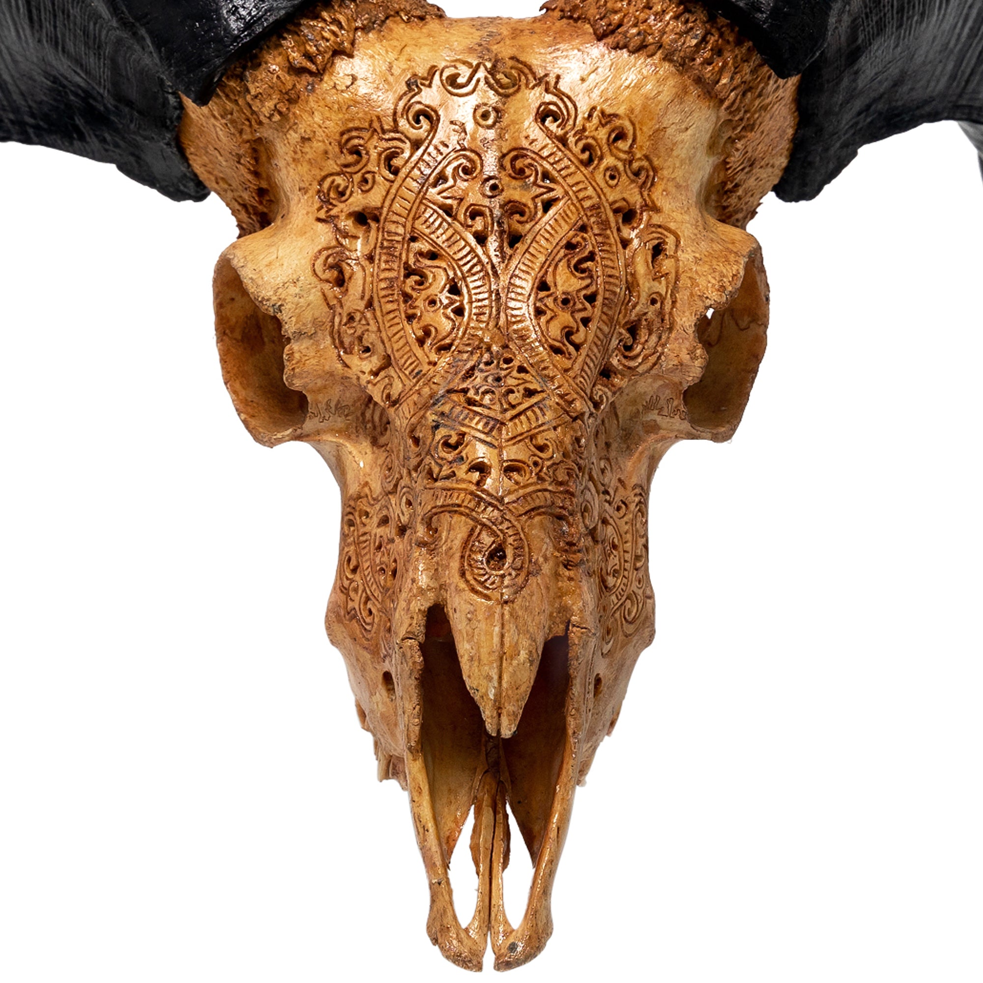 Hand Carved Ram Skull - Antique Phantom