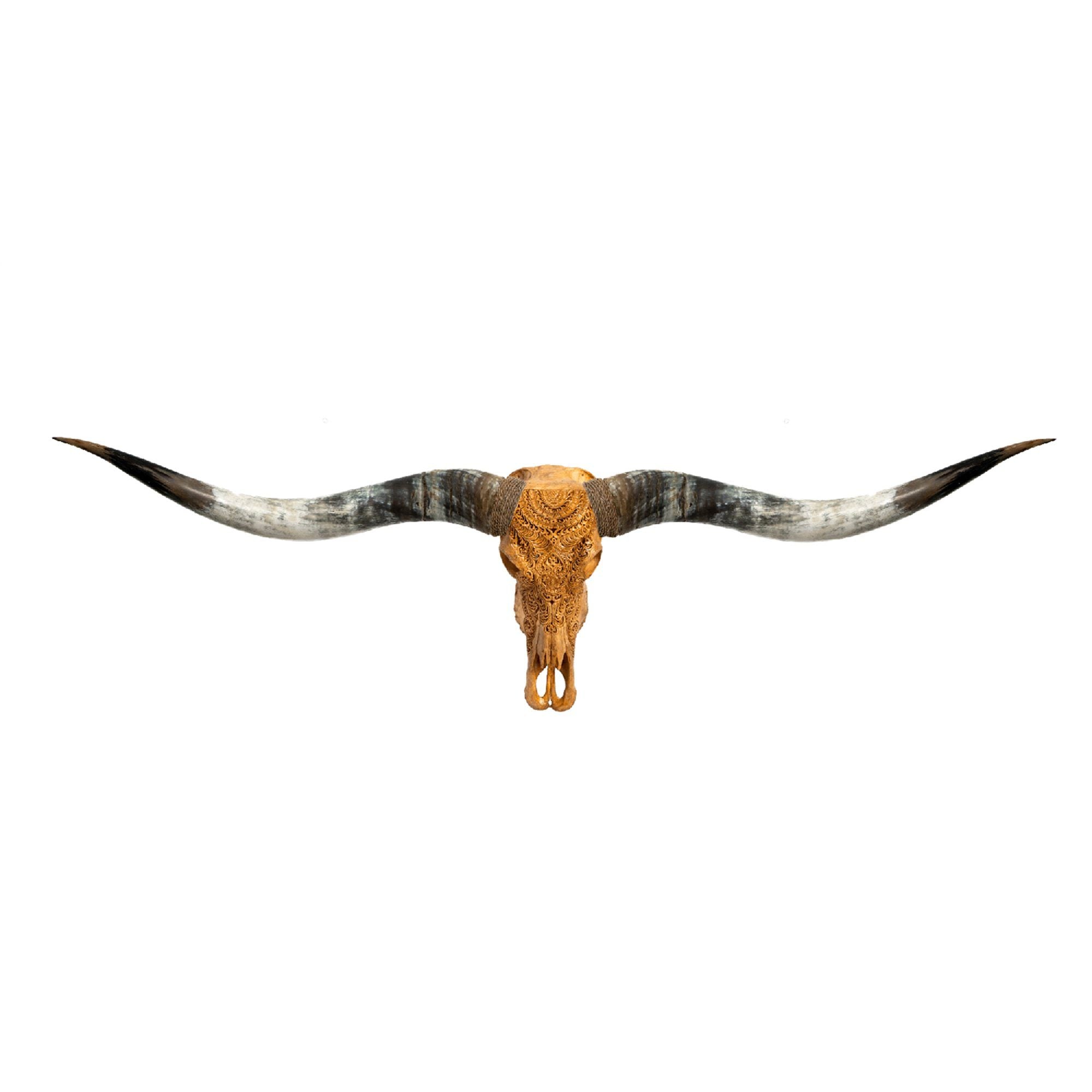 Hand Carved Longhorn Skull // XL Horns - Antique Boho