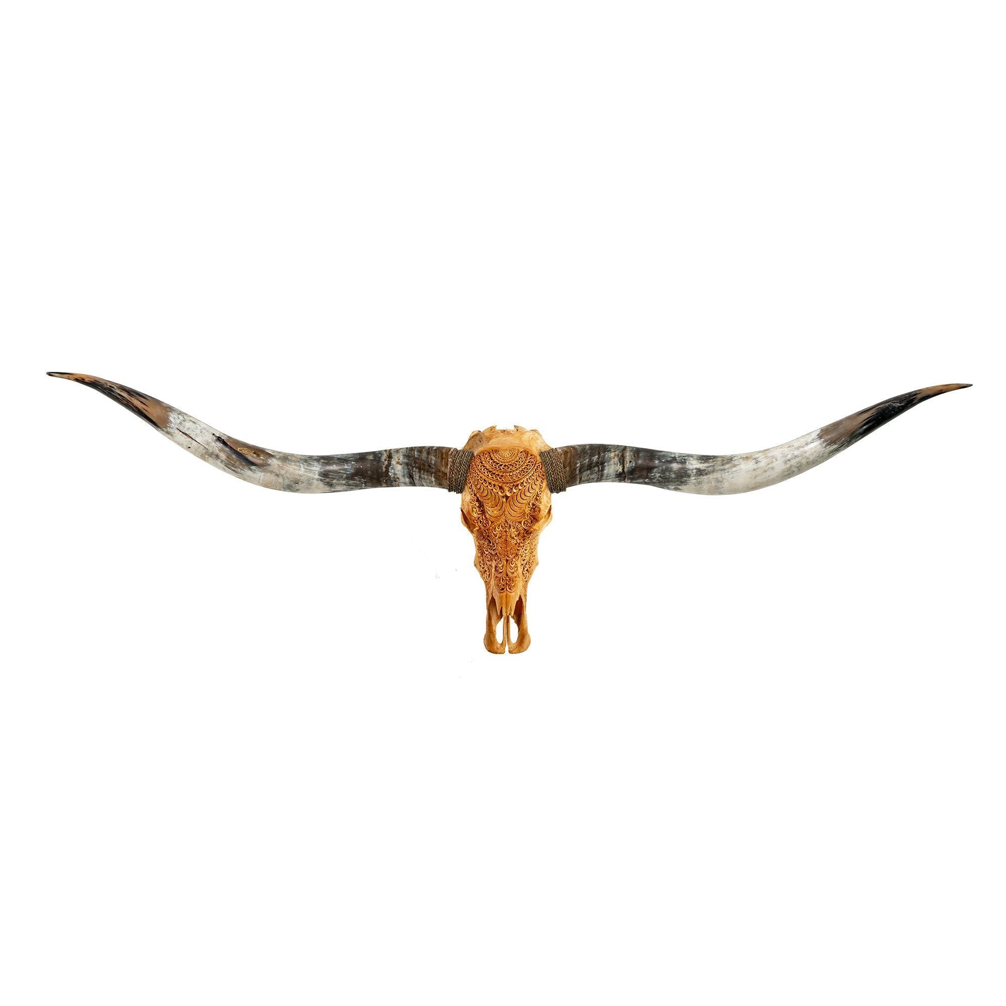 Hand Carved Longhorn Skull // XL Horns - Antique Boho