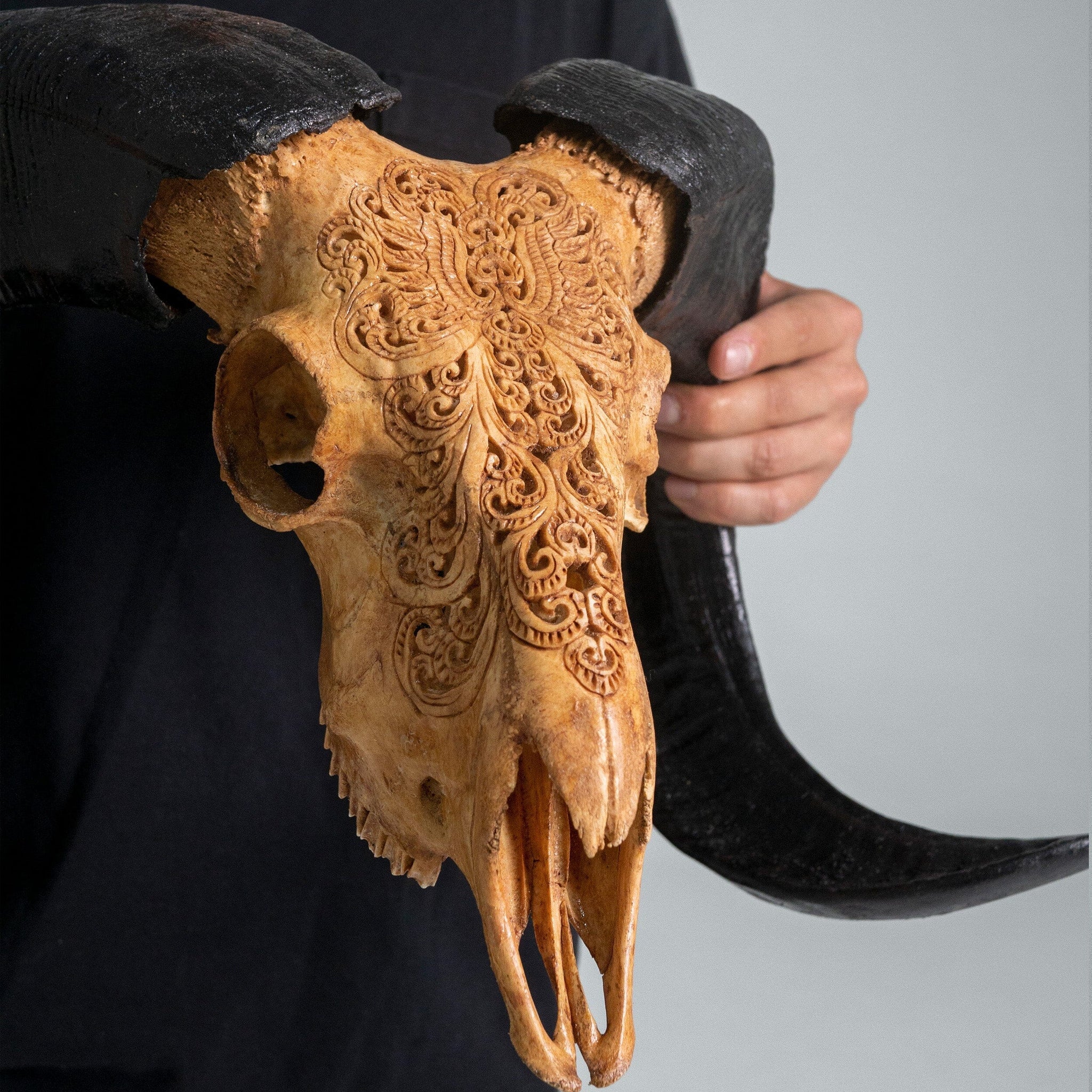 Hand Carved Ram Skull - Antique Phoenix