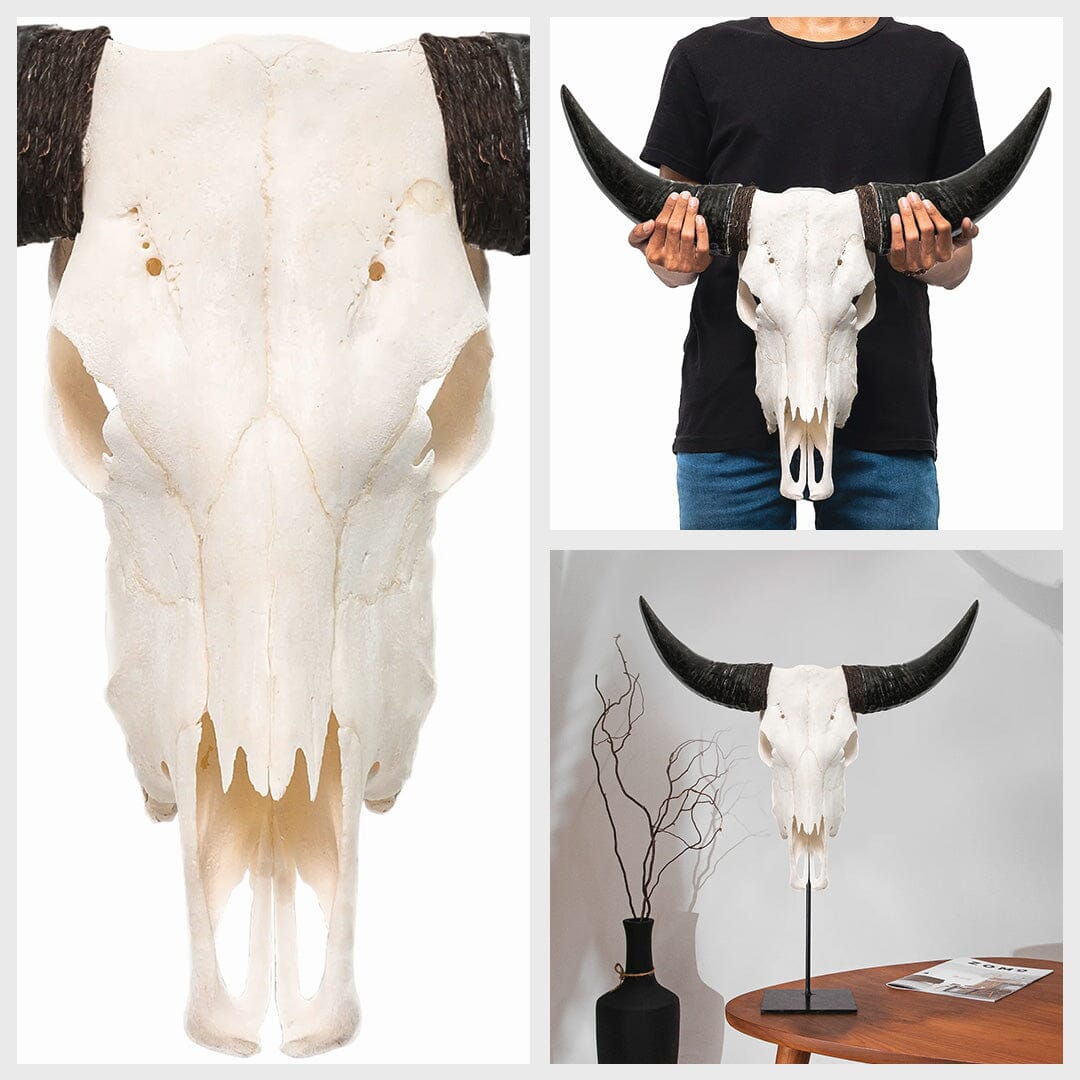 Cow Skull - White Storm