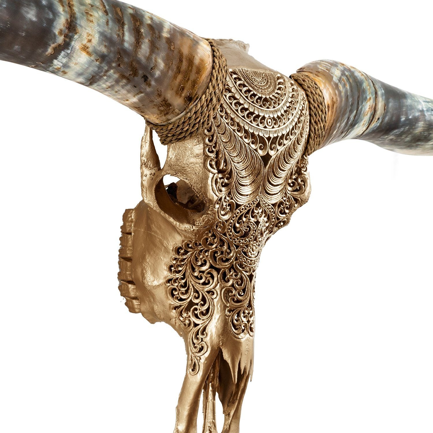 Hand Carved Longhorn Skull // XL Horns -  Golden Boho