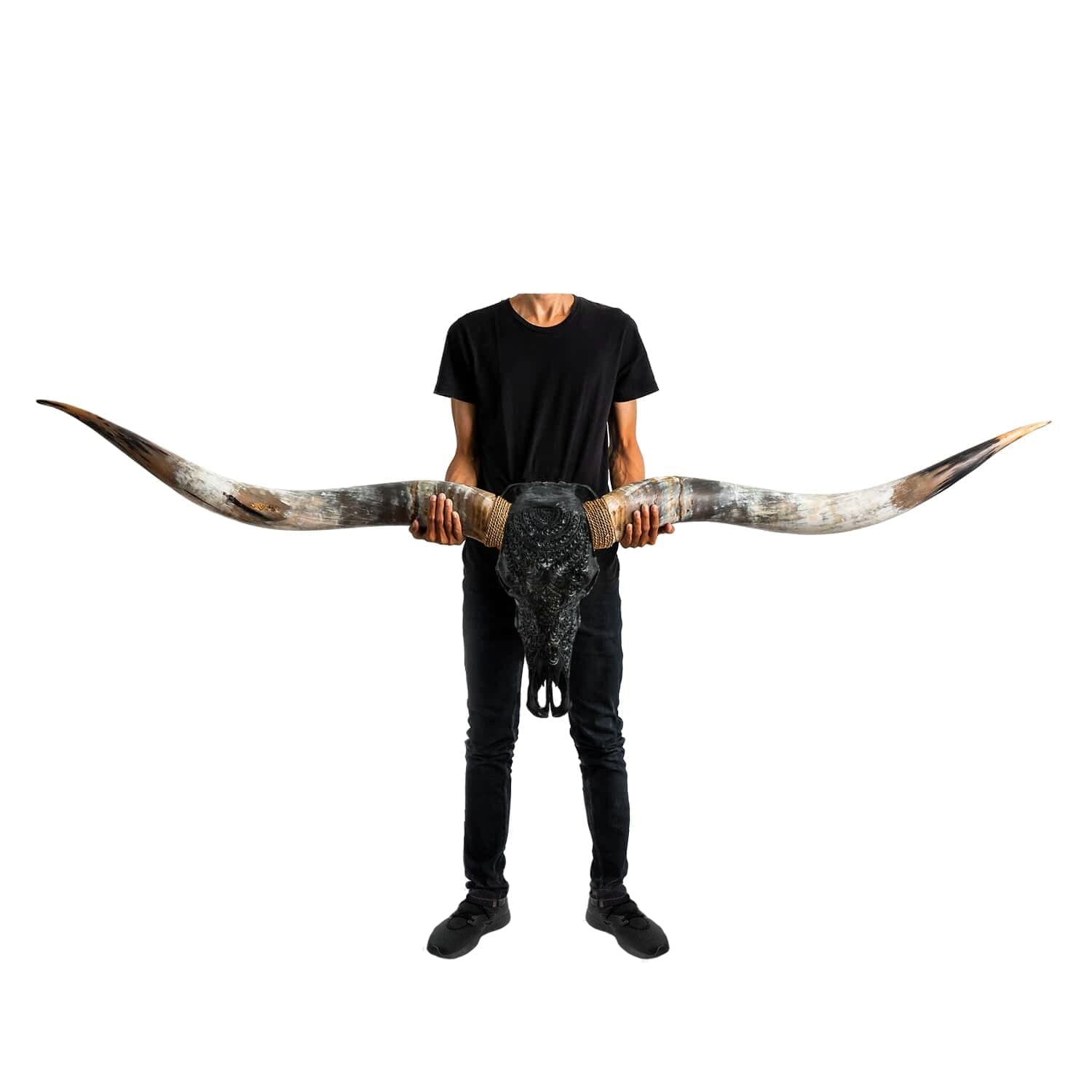 Hand Carved Longhorn Skull // XL Horns - Black Boho