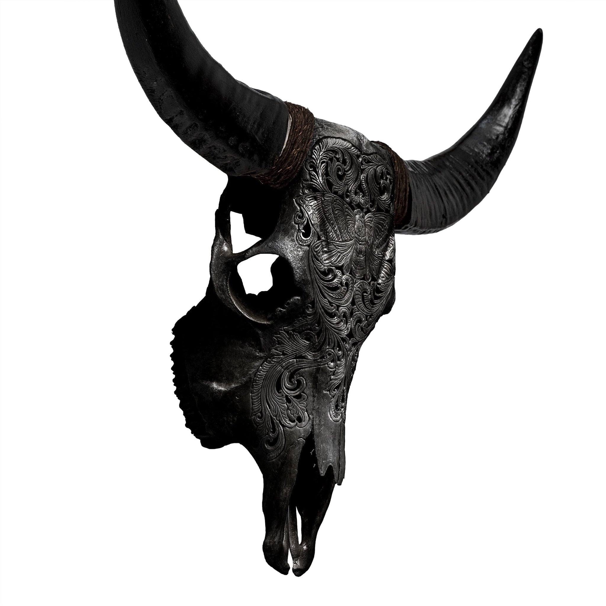 Hand Carved Cow Skull - Black Moth