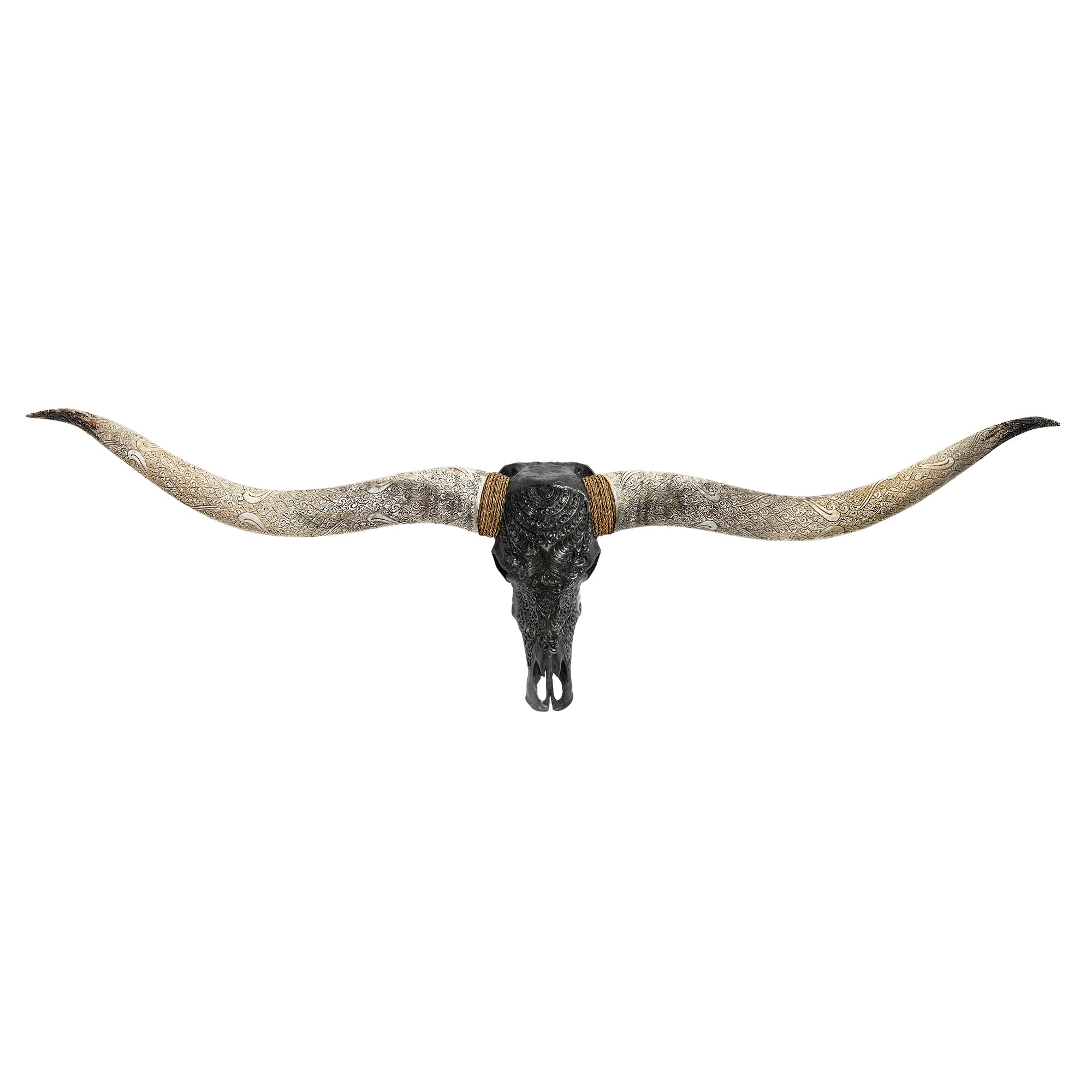Hand Carved Longhorn Skull // XL Horns - Black Boho