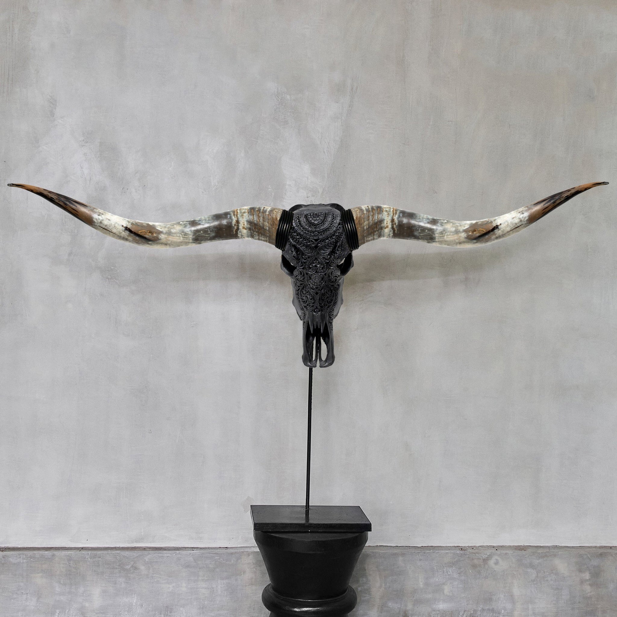Hand Carved Longhorn Skull // XL Horns - Matte Black Boho