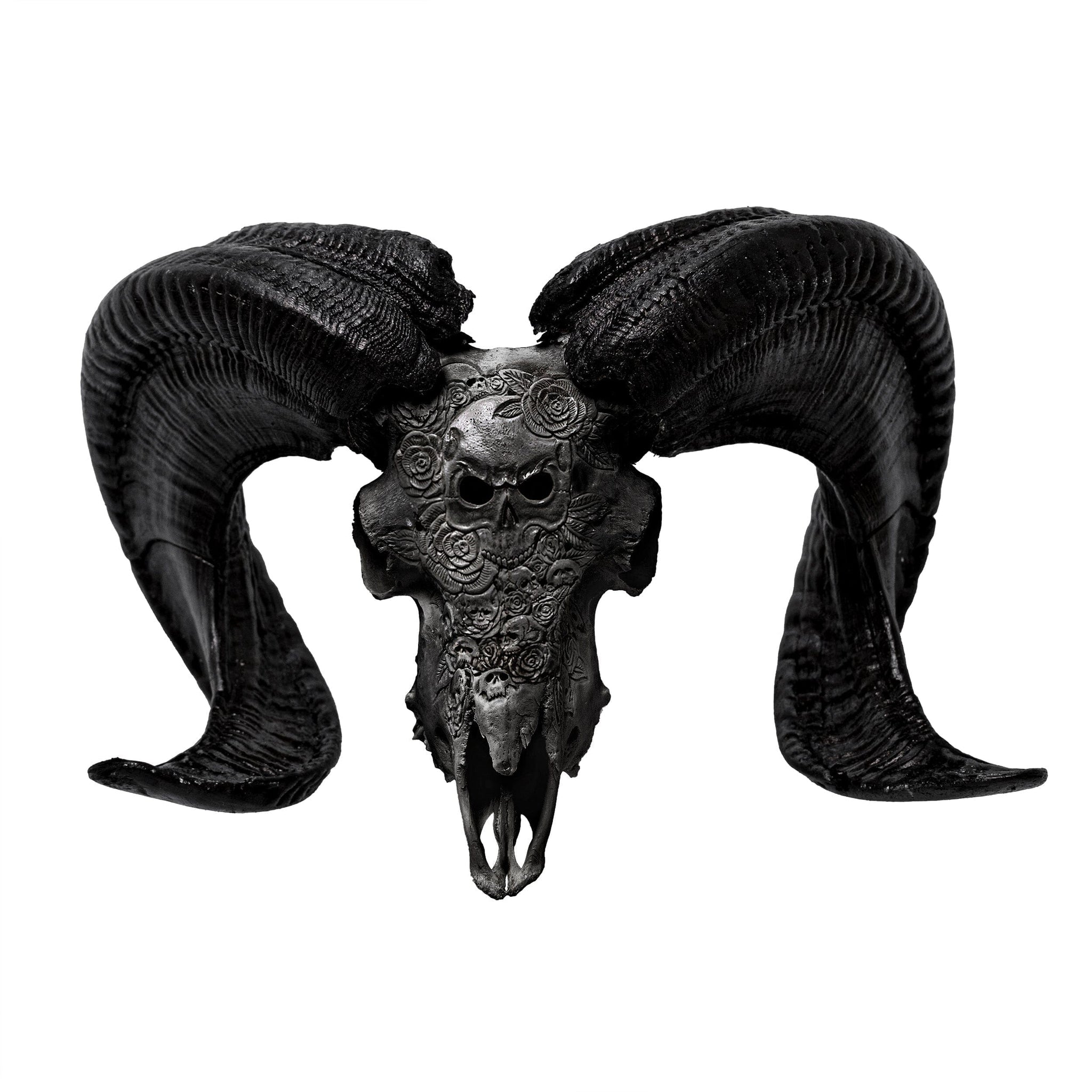 Hand Carved Ram Skull - Black Thorn