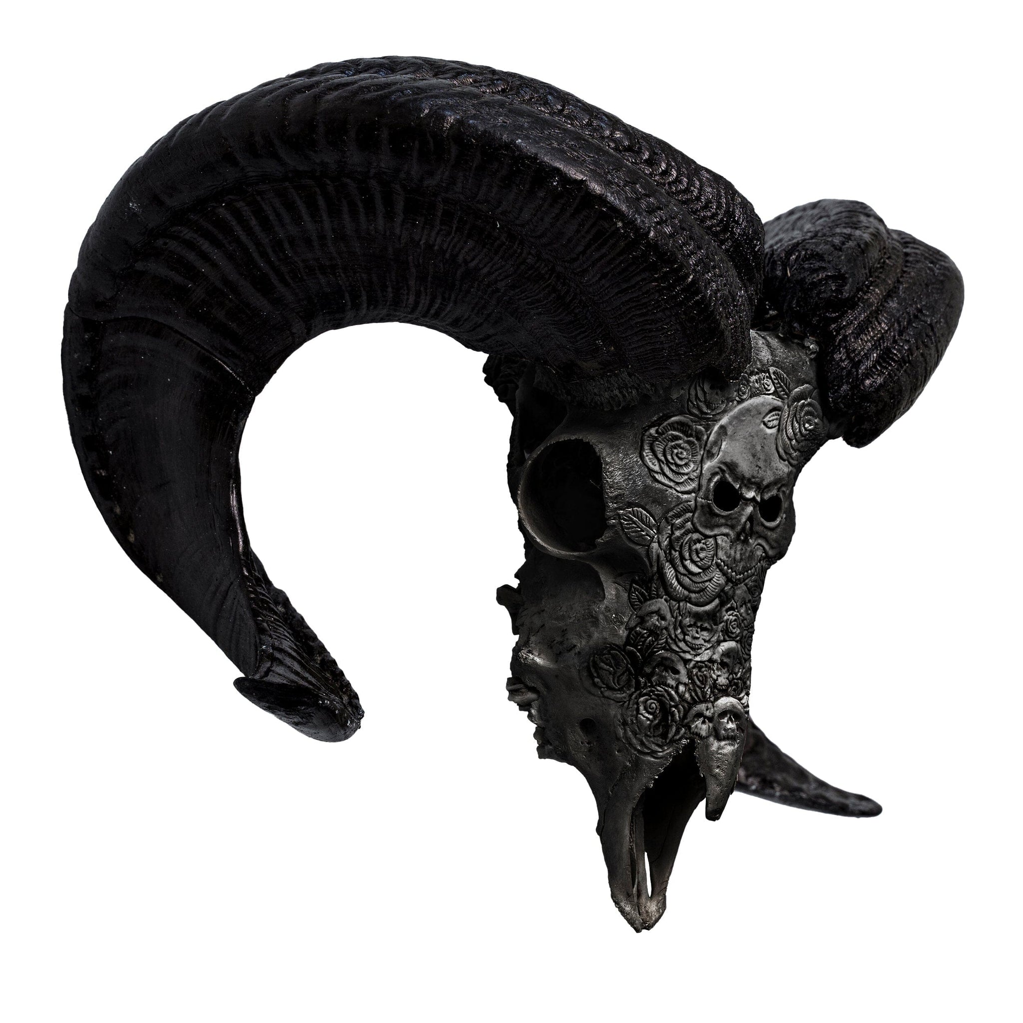 Hand Carved Ram Skull - Black Thorn