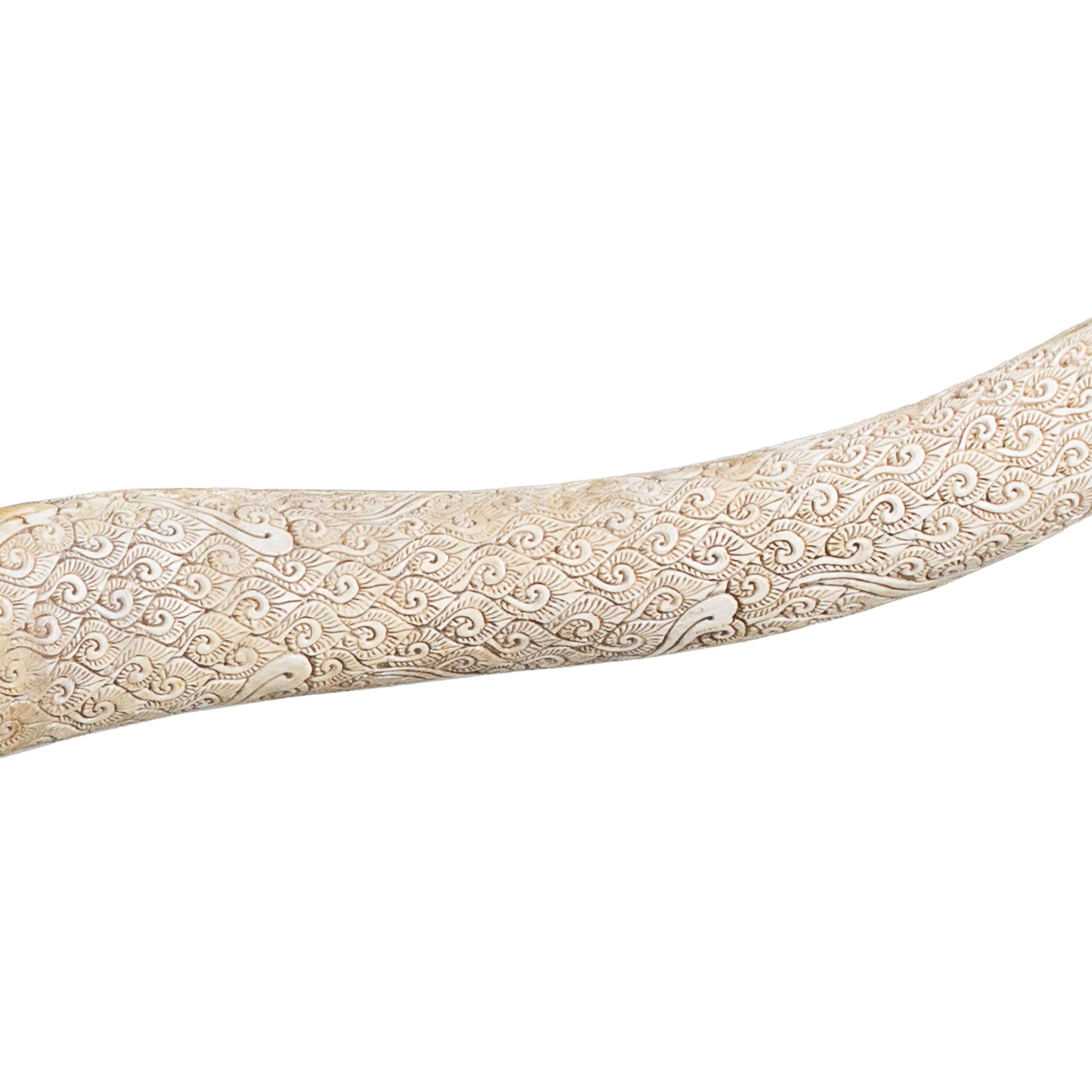 Longhorn Skull // XL Horns - White Storm