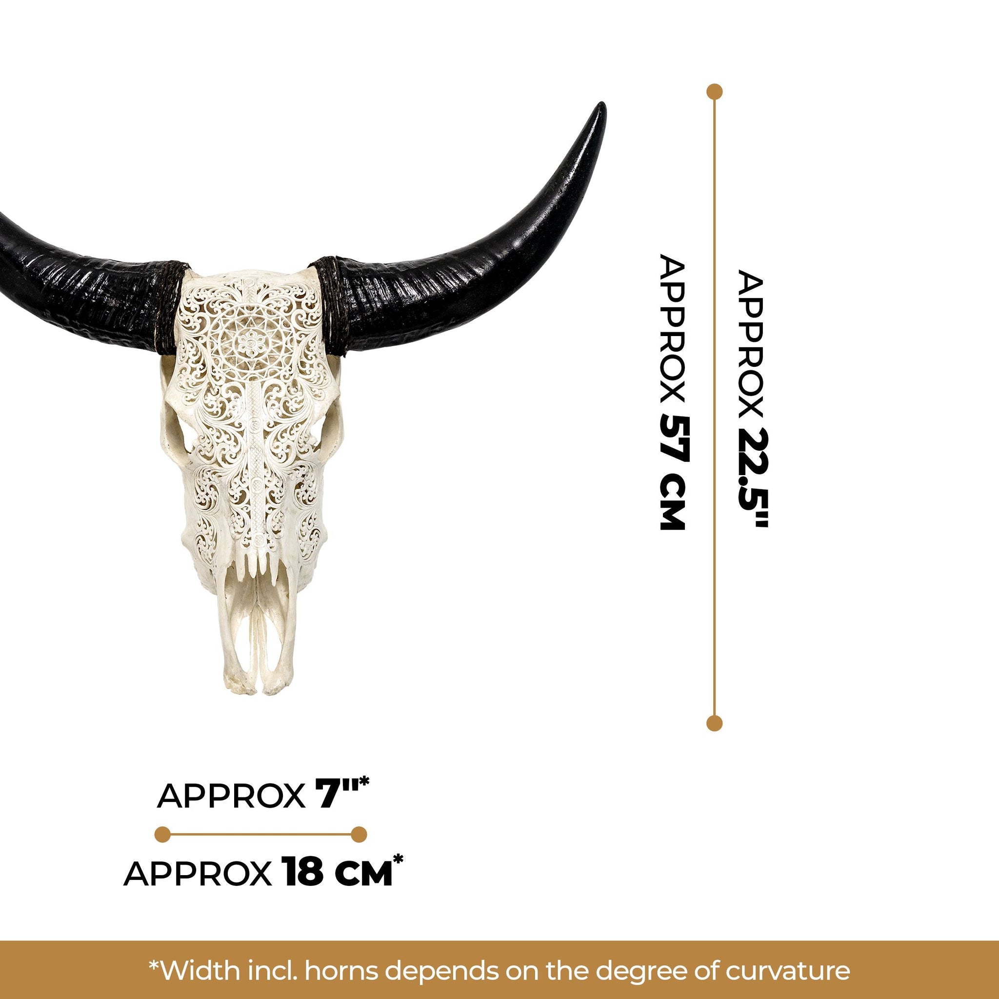 Hand Carved Cow Skull - White Sun