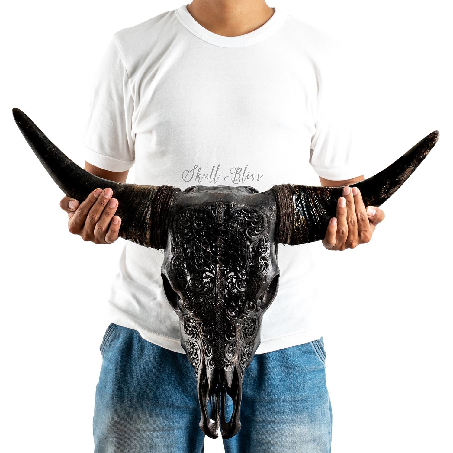 Hand Carved Cow Skull - Black Sun