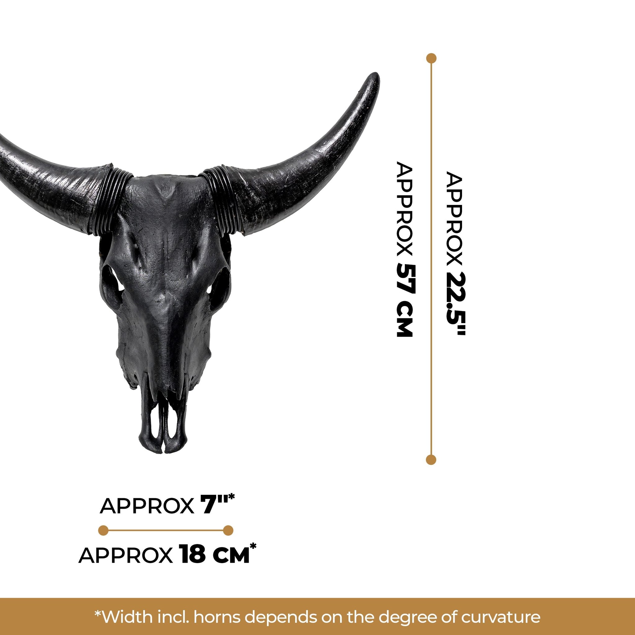 Cow Skull - Matte Black Storm