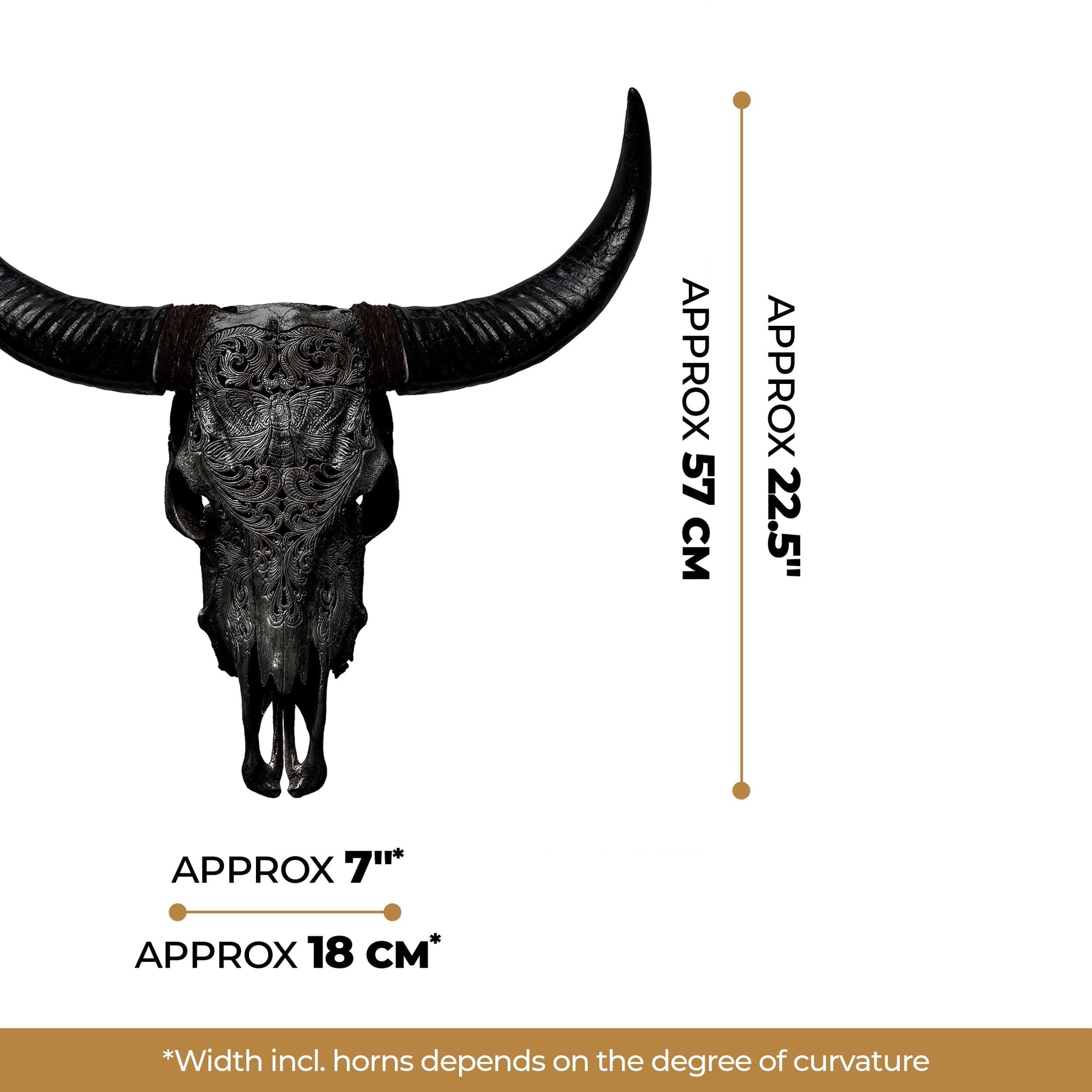 Hand Carved Cow Skull - Black Moth