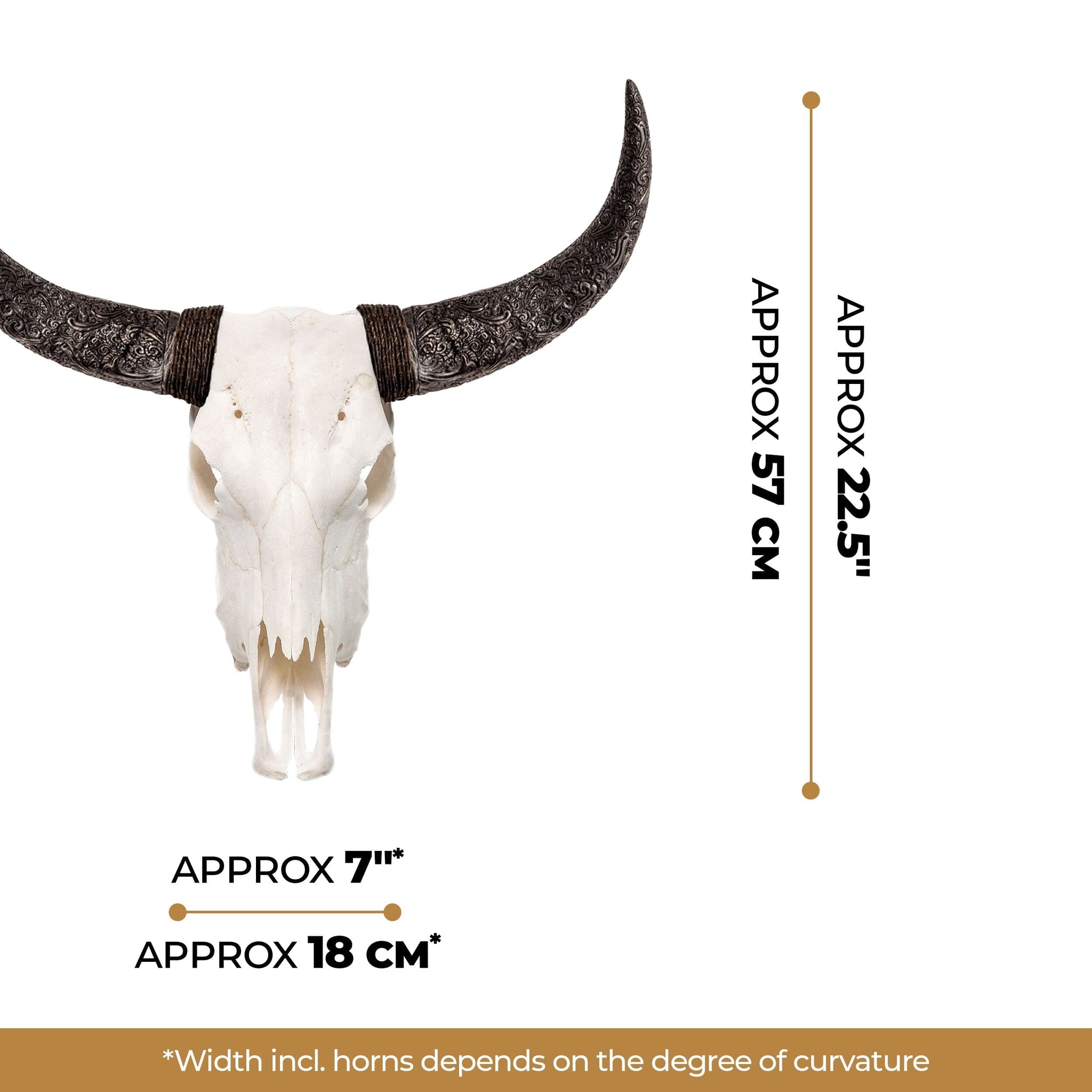 Cow Skull - White Storm