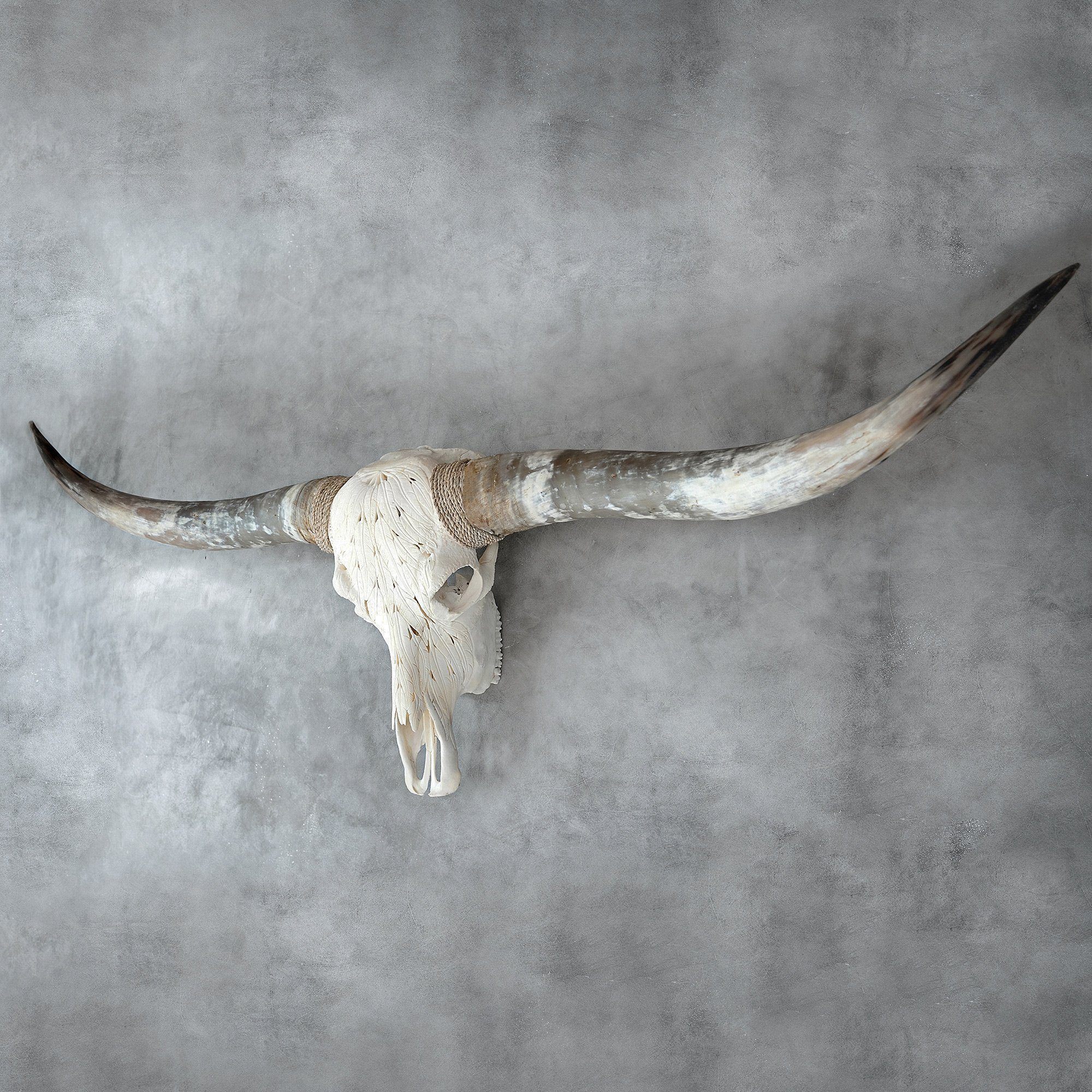 Hand Carved Longhorn Skull - White Feathers