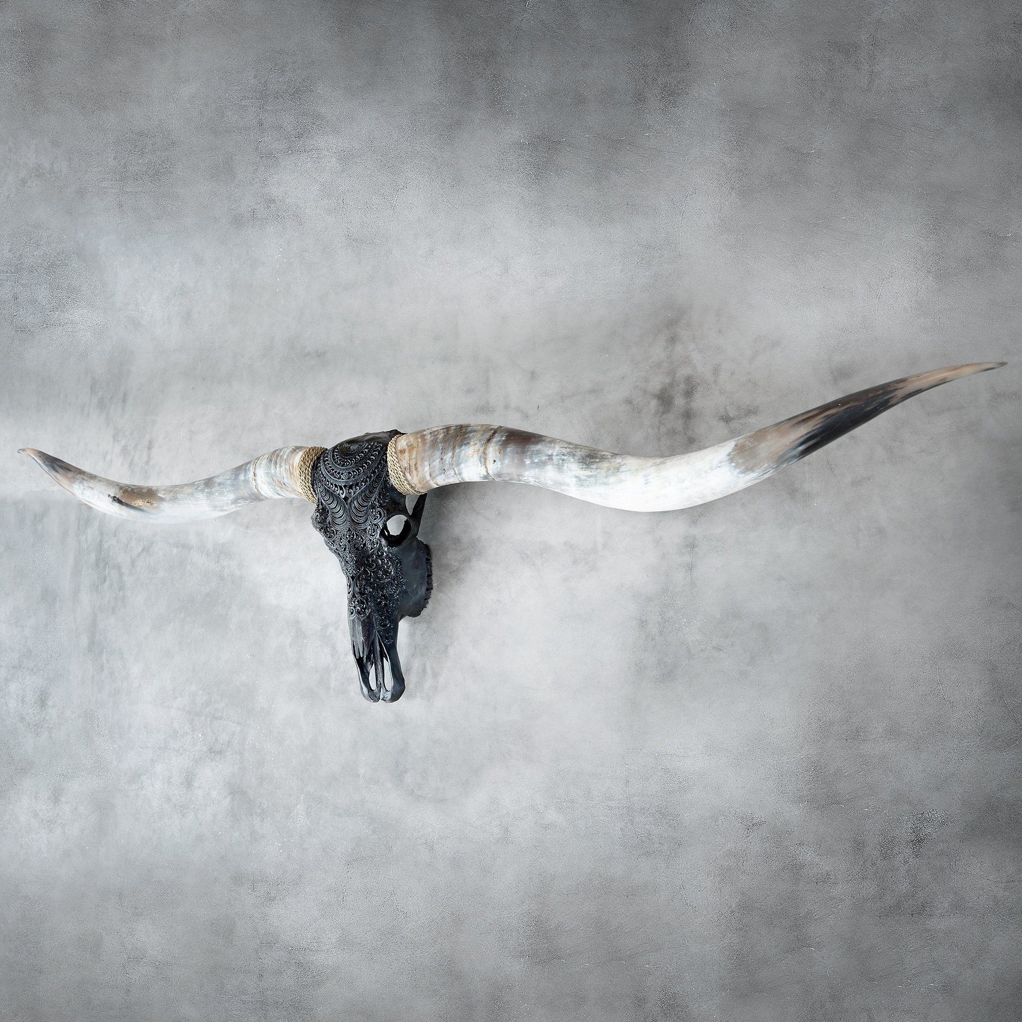 Hand Carved Longhorn Skull // XL Horns - Black Boho
