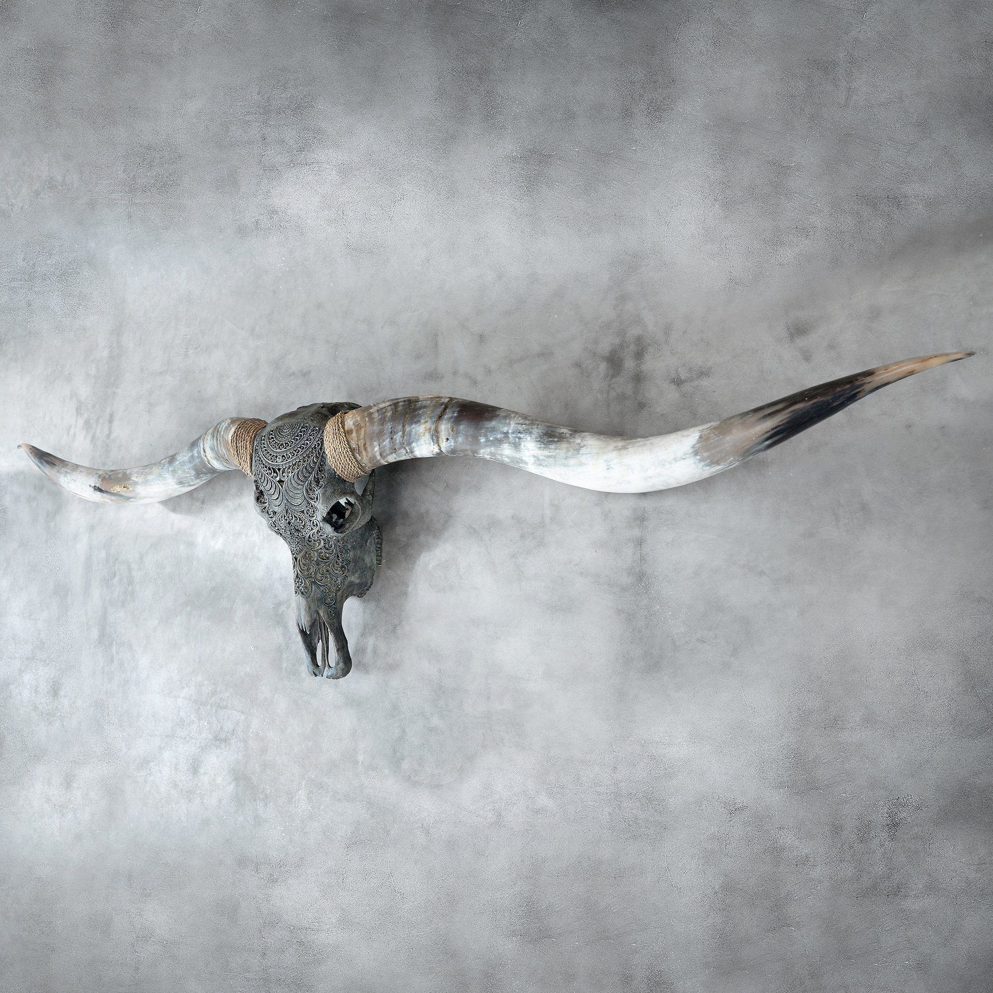 Hand Carved Longhorn Skull // XL Horns - Gray Boho