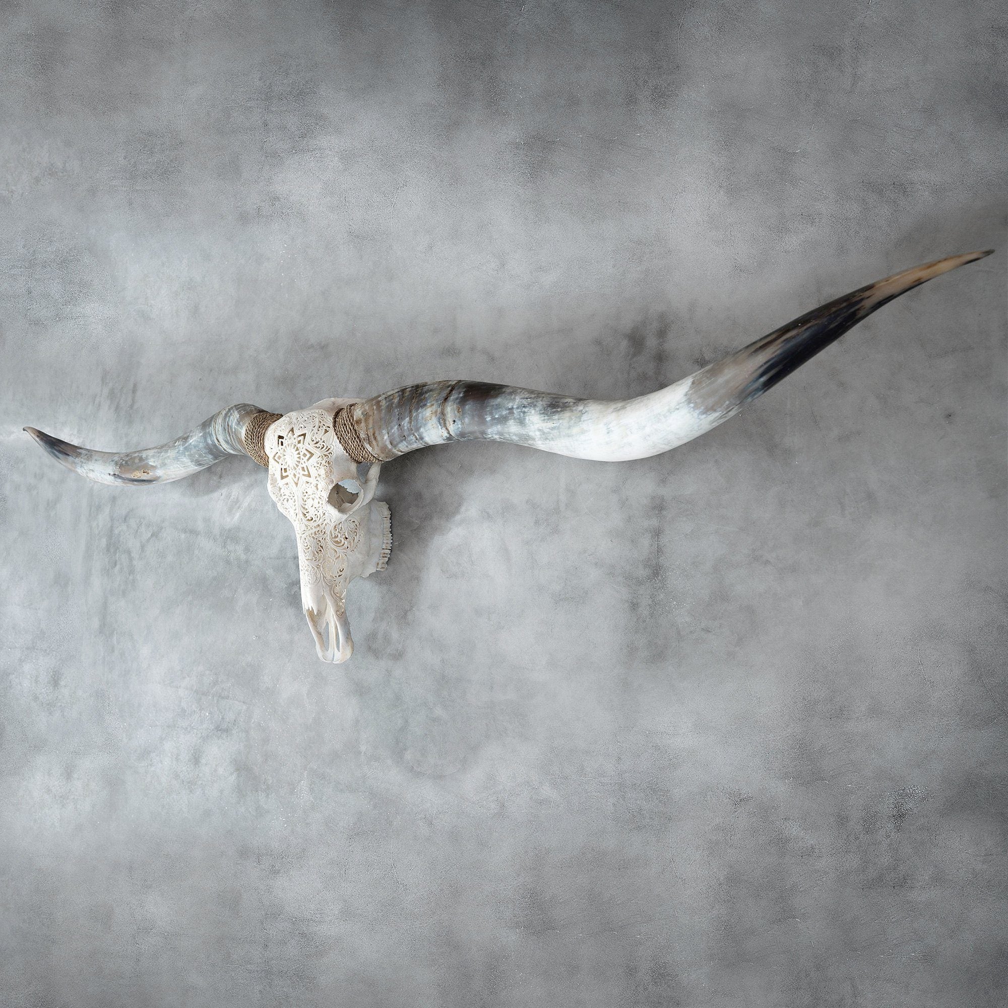 Hand Carved Longhorn Skull // XL Horns - White Mandala