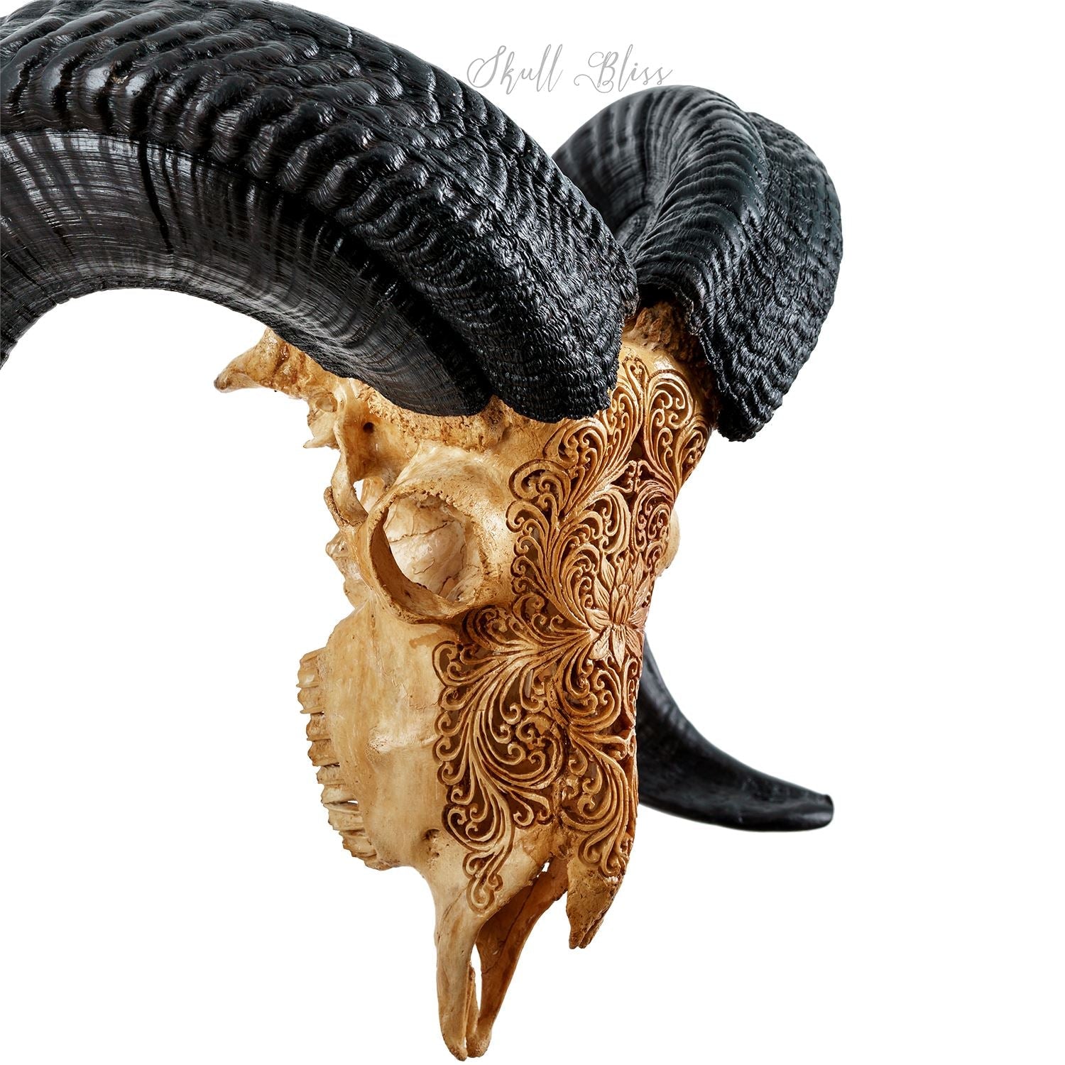 Hand Carved Ram Skull - Antique Lotus