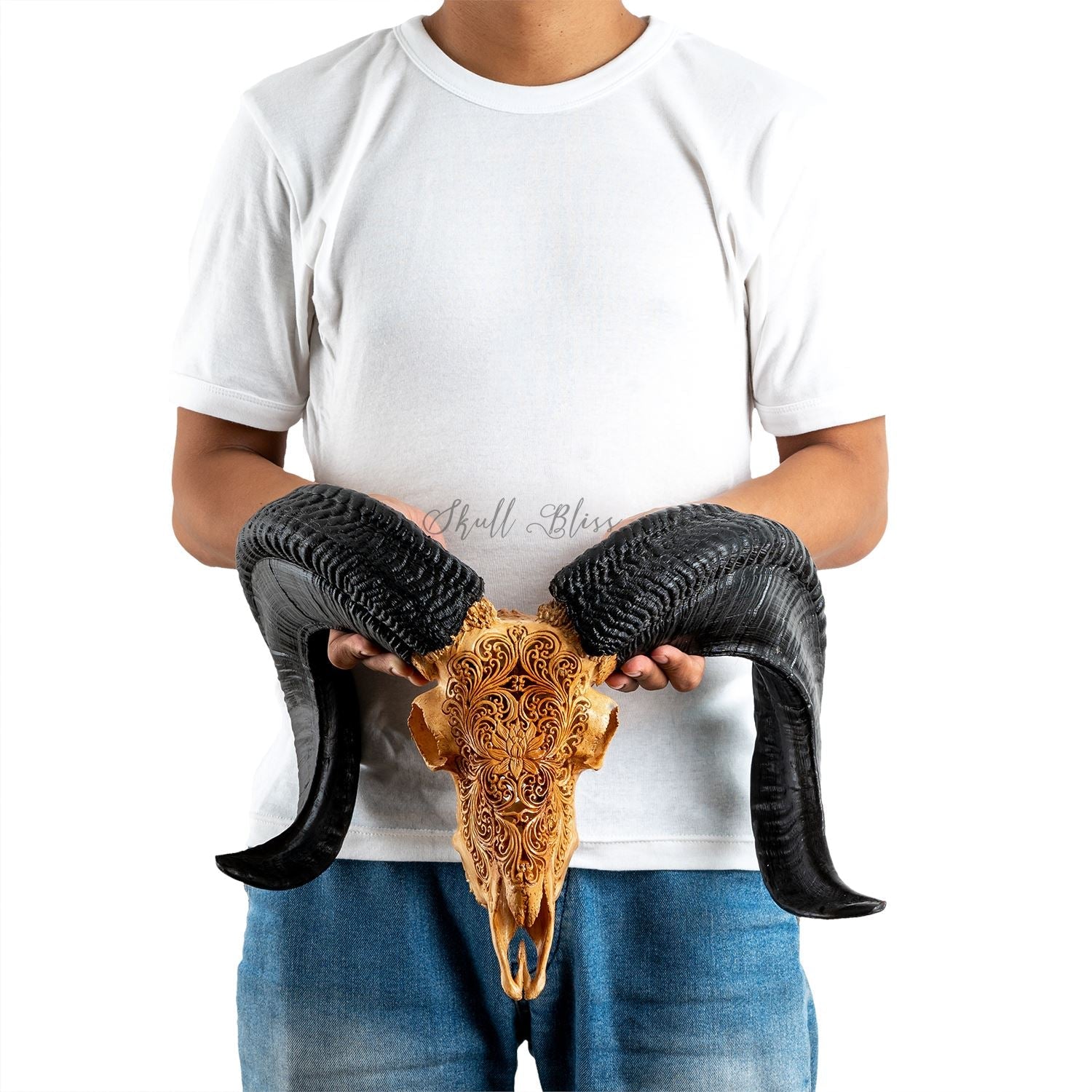 Hand Carved Ram Skull - Antique Lotus
