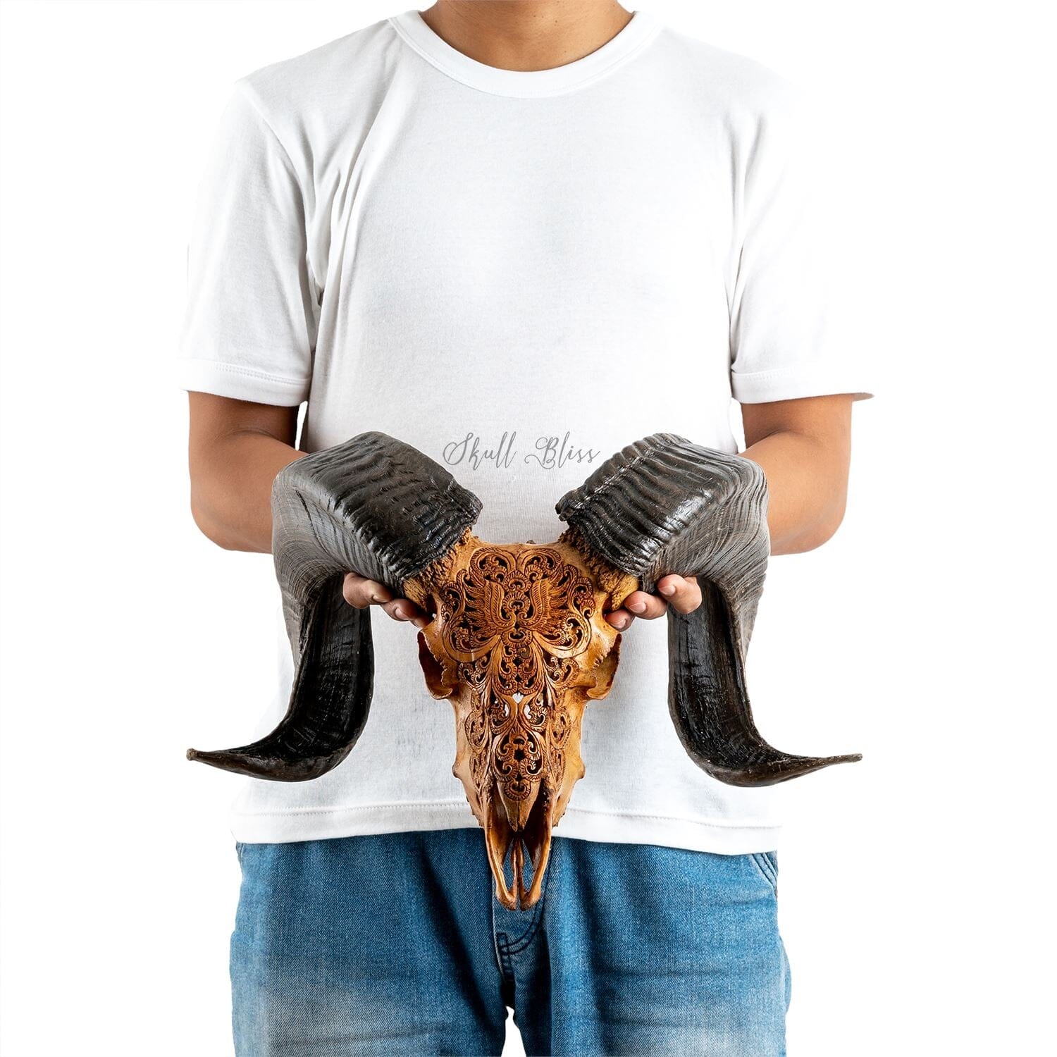 Hand Carved Ram Skull - Antique Phoenix