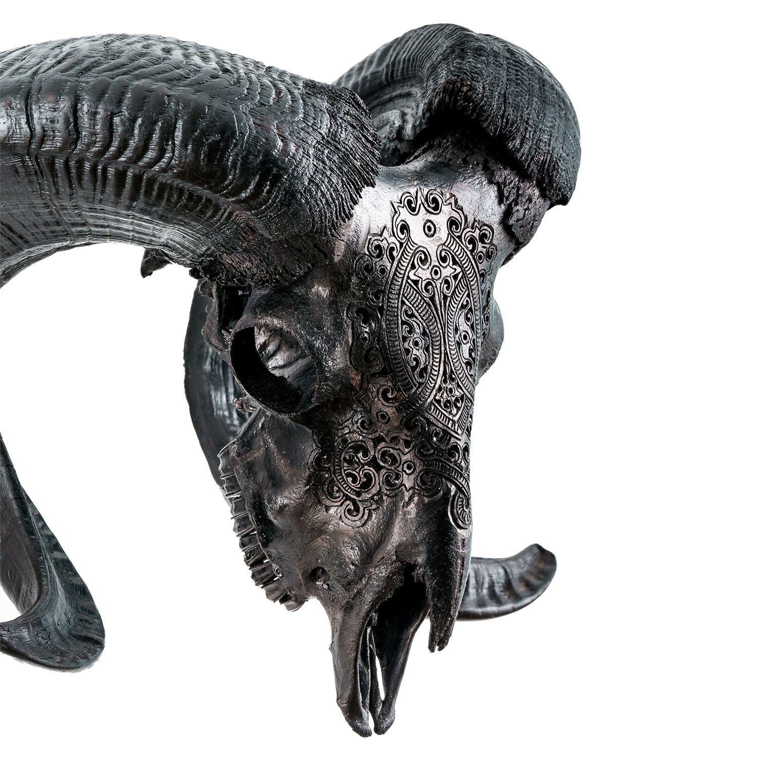 Hand Carved Ram Skull - Black Phantom