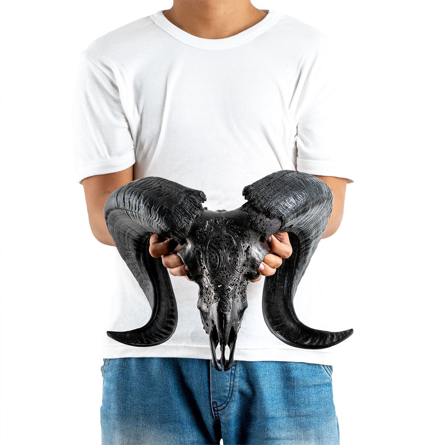 Hand Carved Ram Skull - Black Phantom