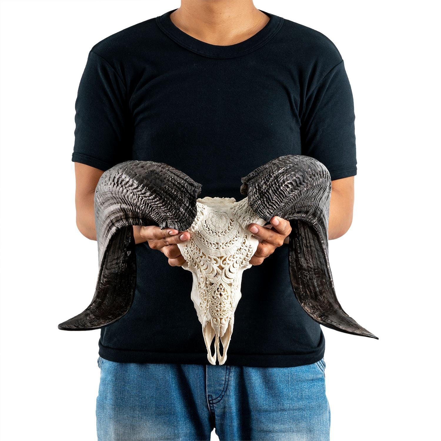 Hand Carved Ram Skull - White Boho