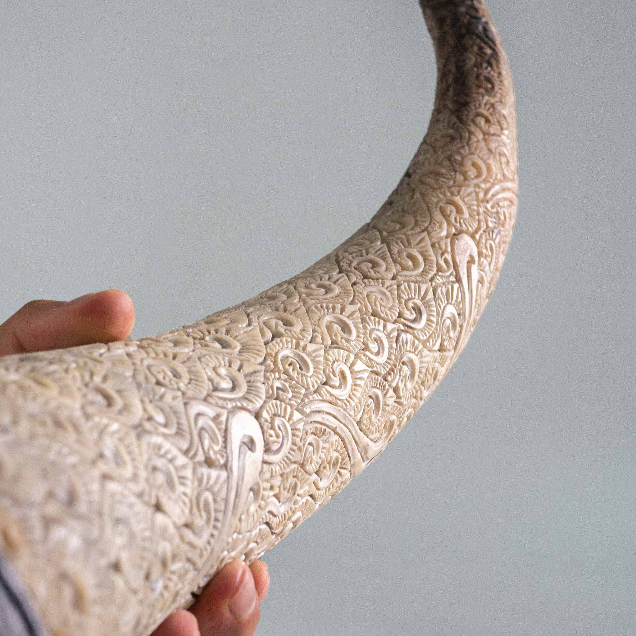 Hand Carved Longhorn Skull // XL Horns - Black Sun