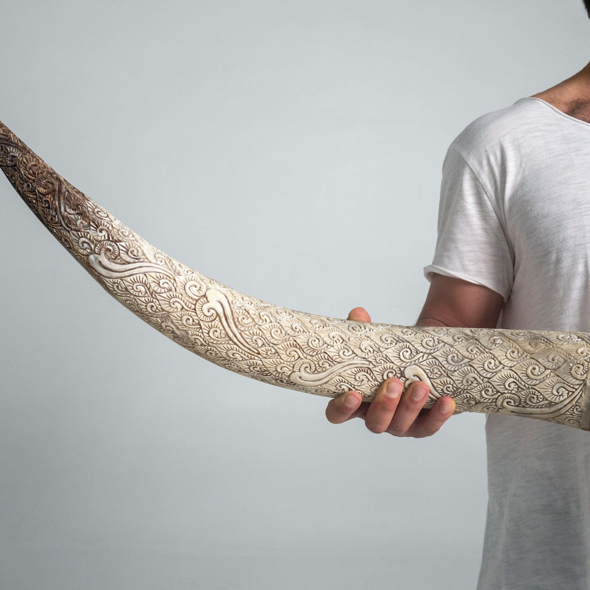 Longhorn Skull // XL Horns -  Mirror // Mosaic Finish