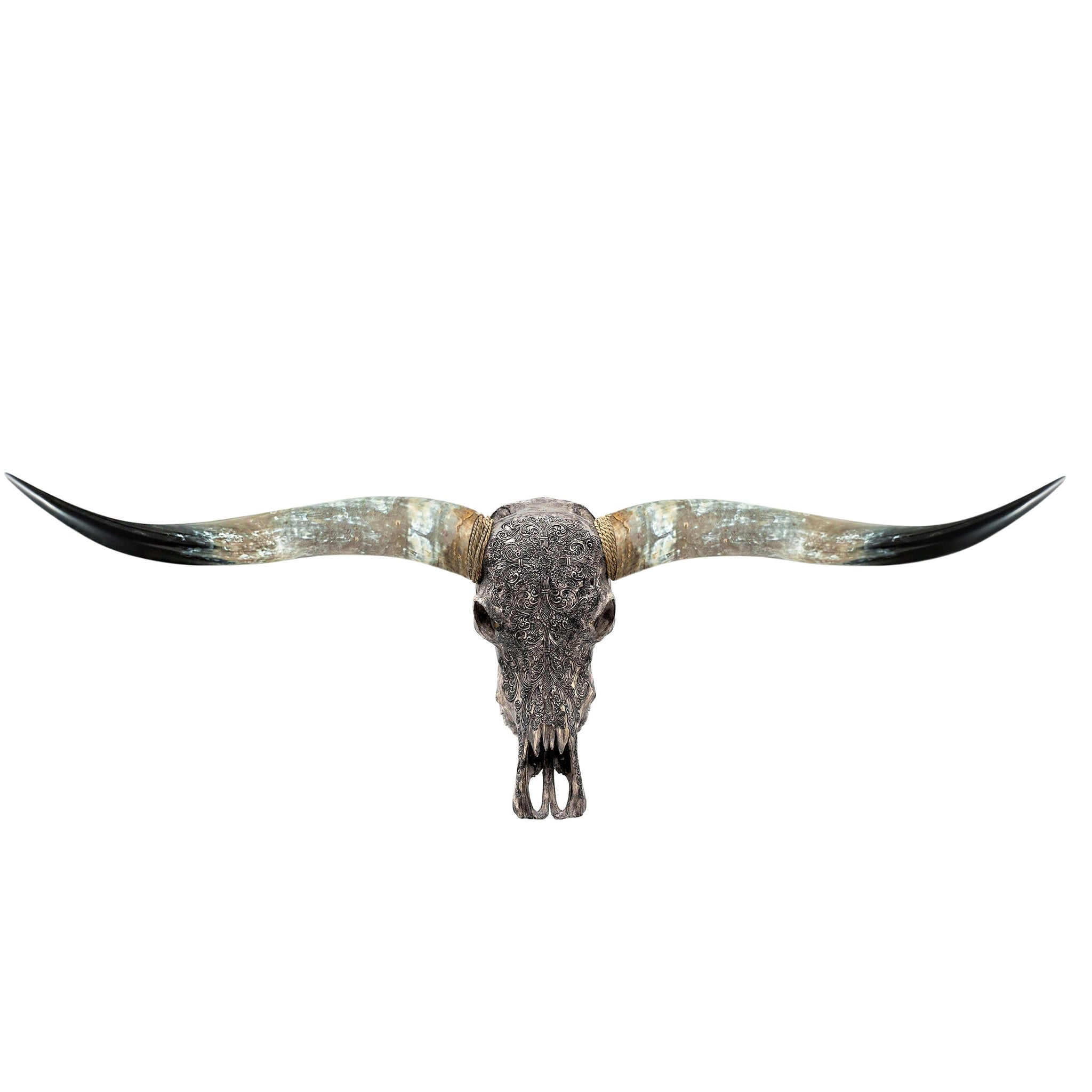 Hand Carved Longhorn Skull - Gray Fine Line