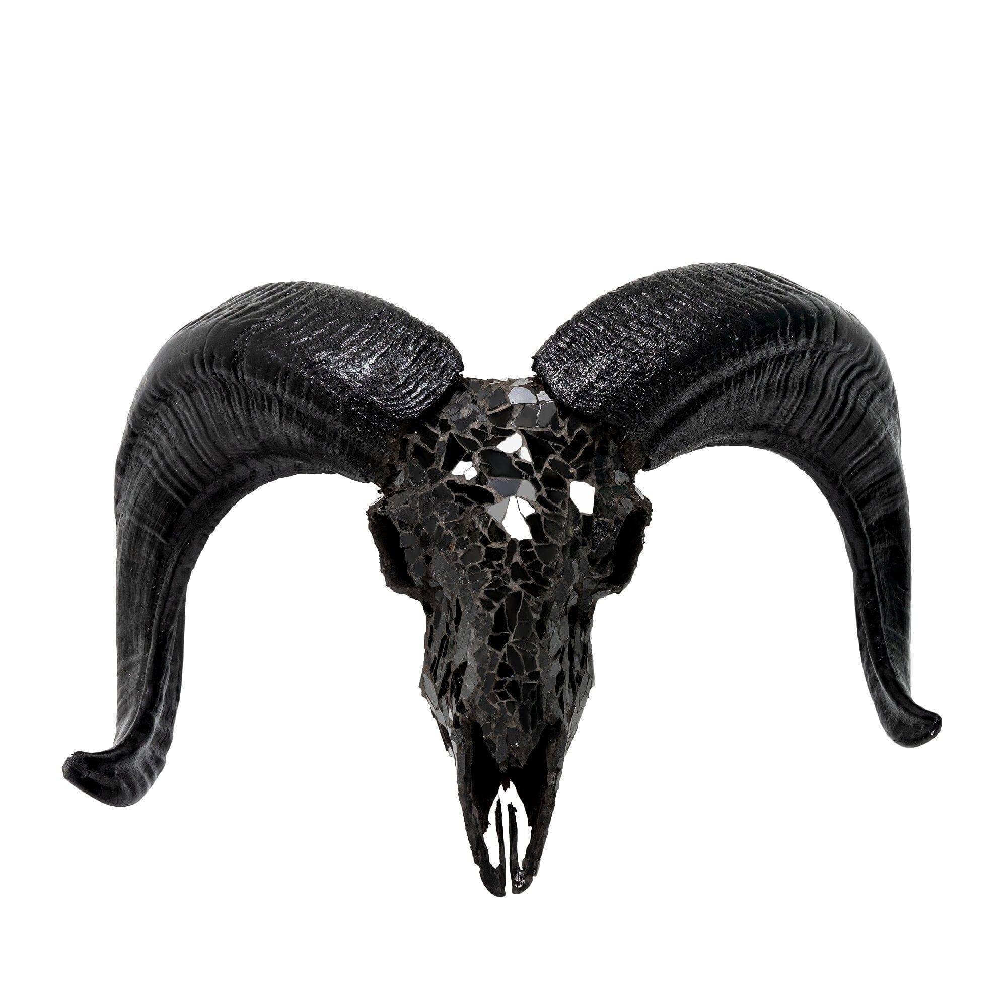 Ram Skull - Black Mirror // Mosaic Finish