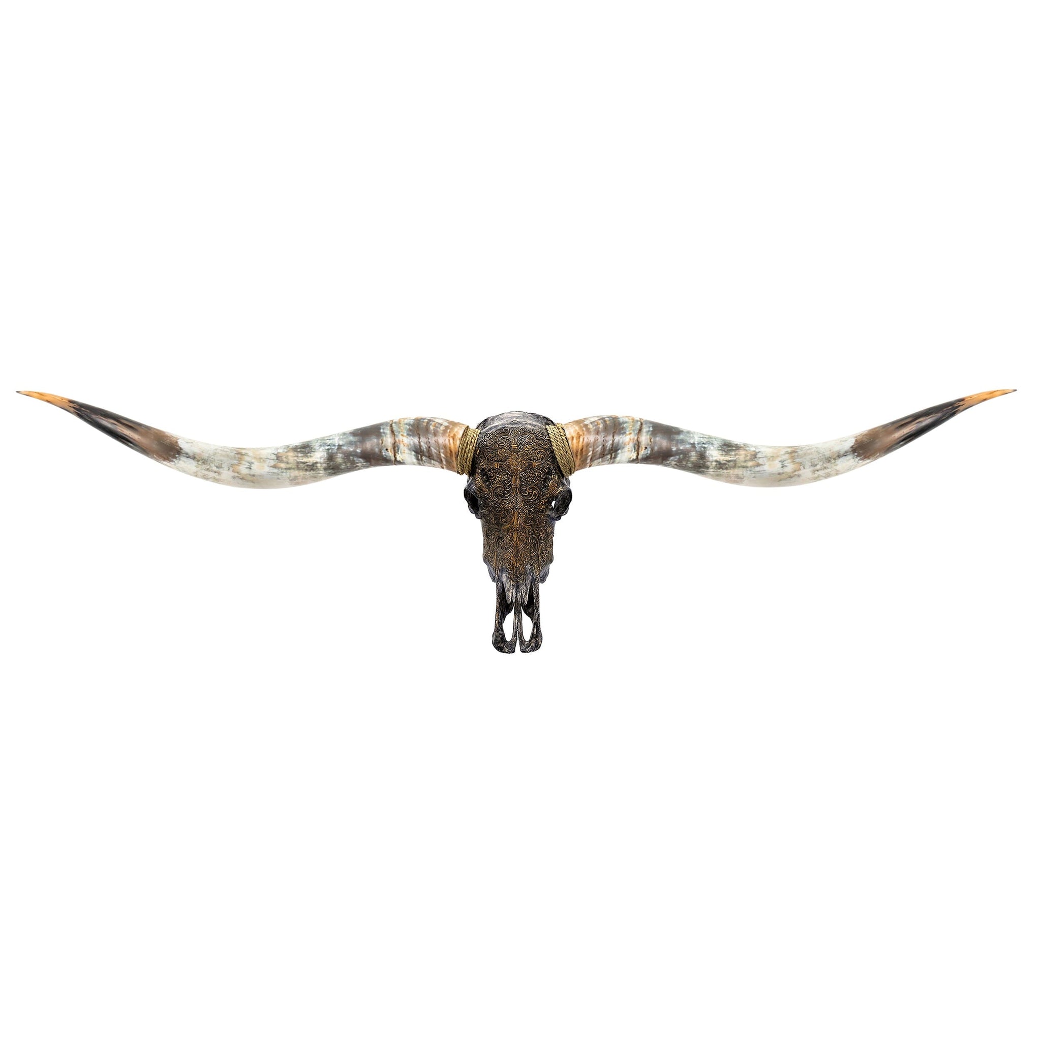 Hand Carved Longhorn Skull // XL Horns - Antique Gray Fine Line