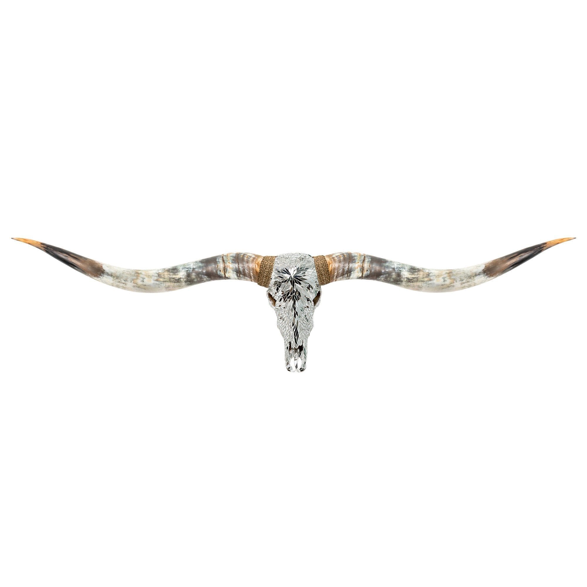 Longhorn Skull // XL Horns -  Mirror // Mosaic Finish