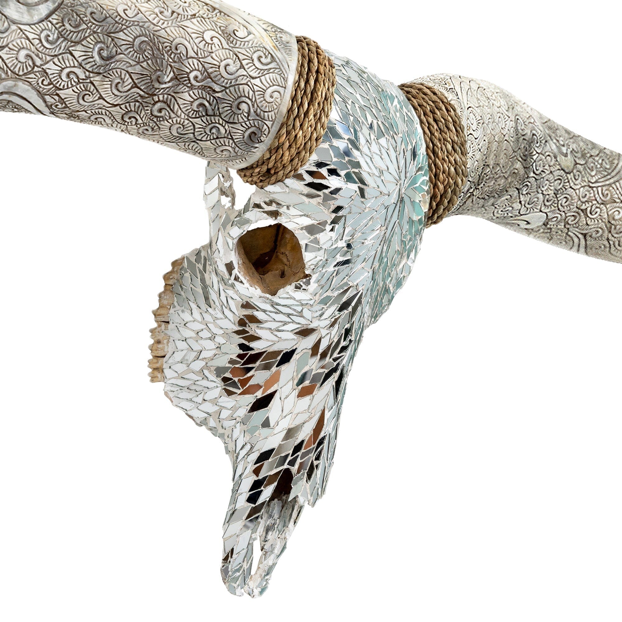 Longhorn Skull // XL Horns -  Mirror // Mosaic Finish