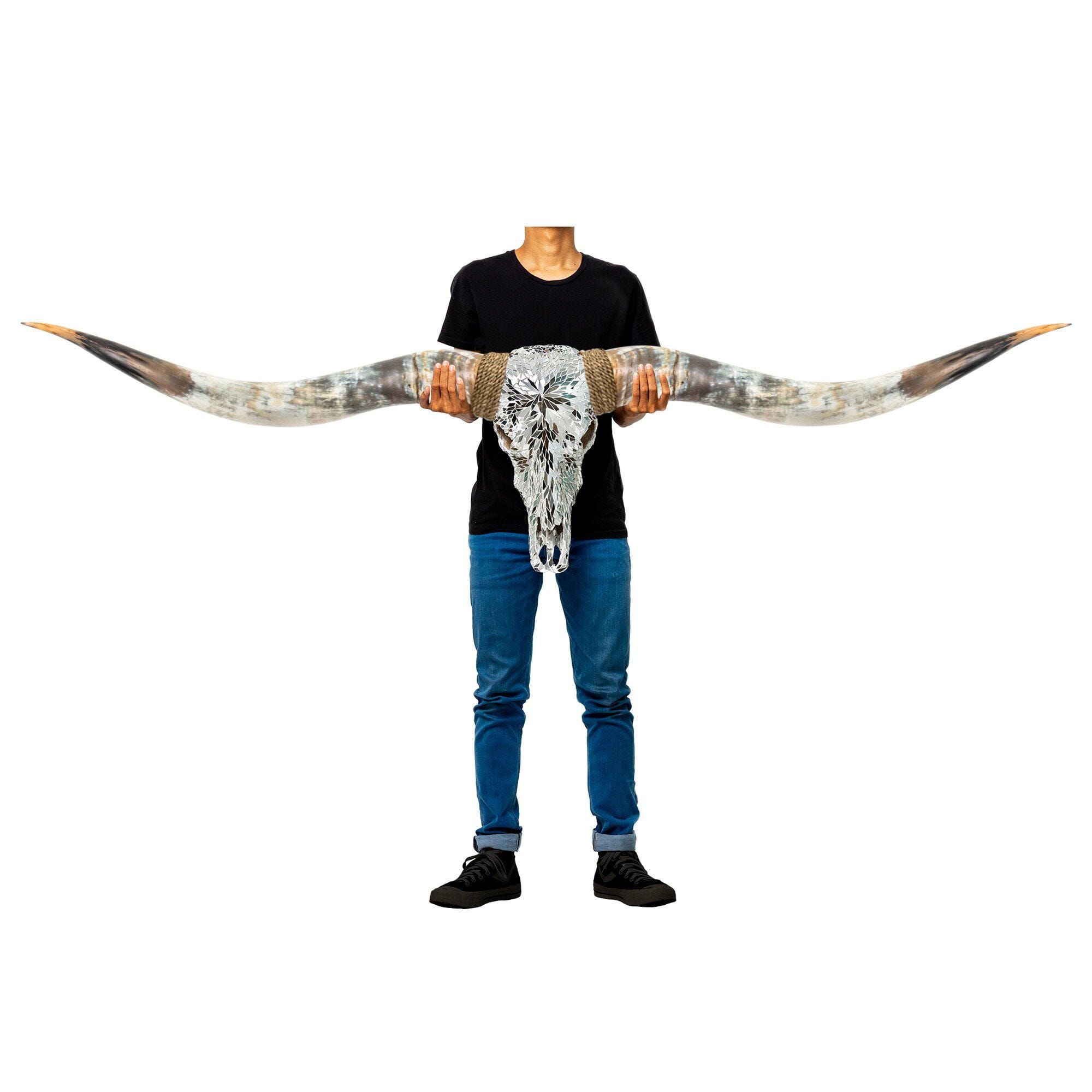 Longhorn Skull // XL Horns -  Mirror // Mosaic Finish