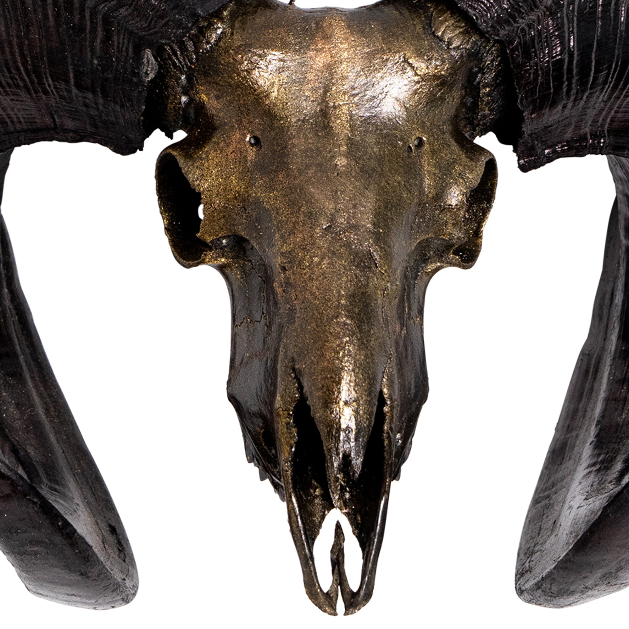 Ram Skull - Antique Bronze Storm // Metallic Finish
