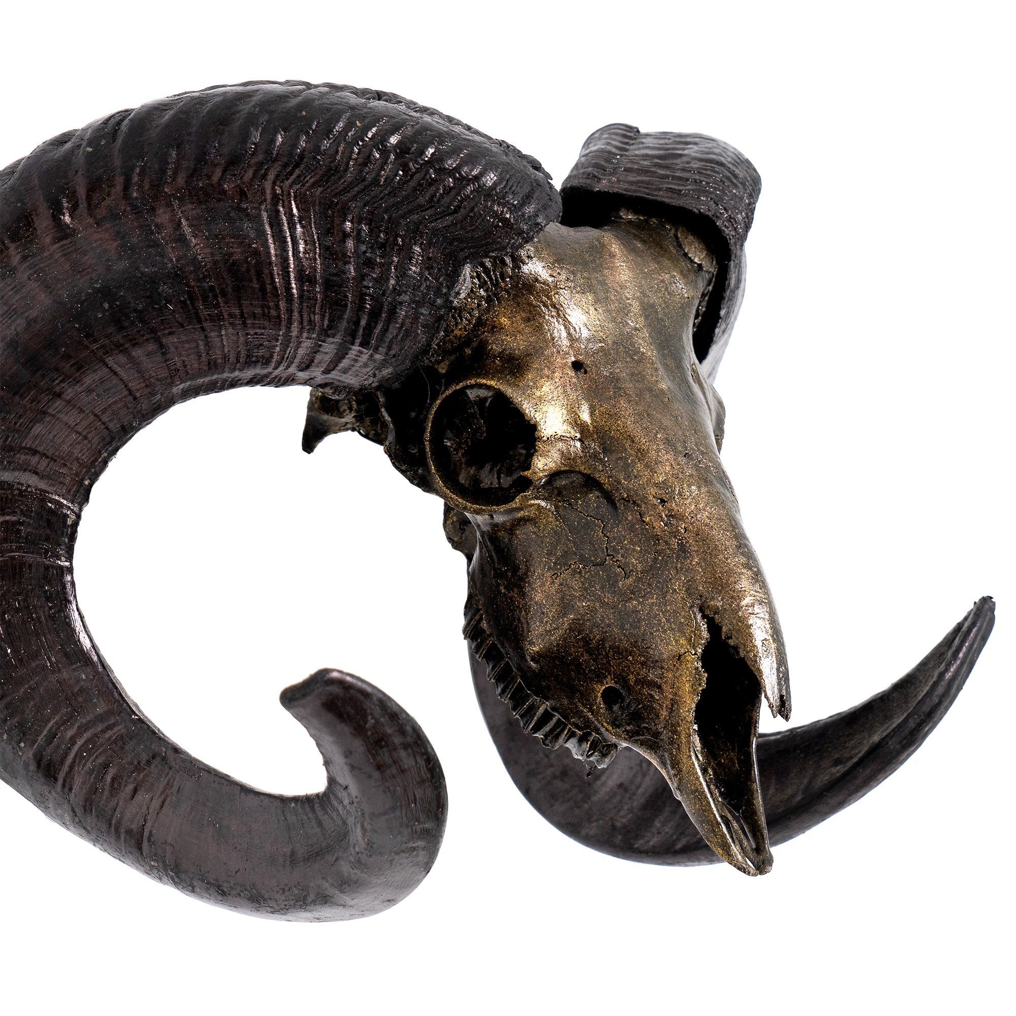 Ram Skull - Antique Bronze Storm // Metallic Finish