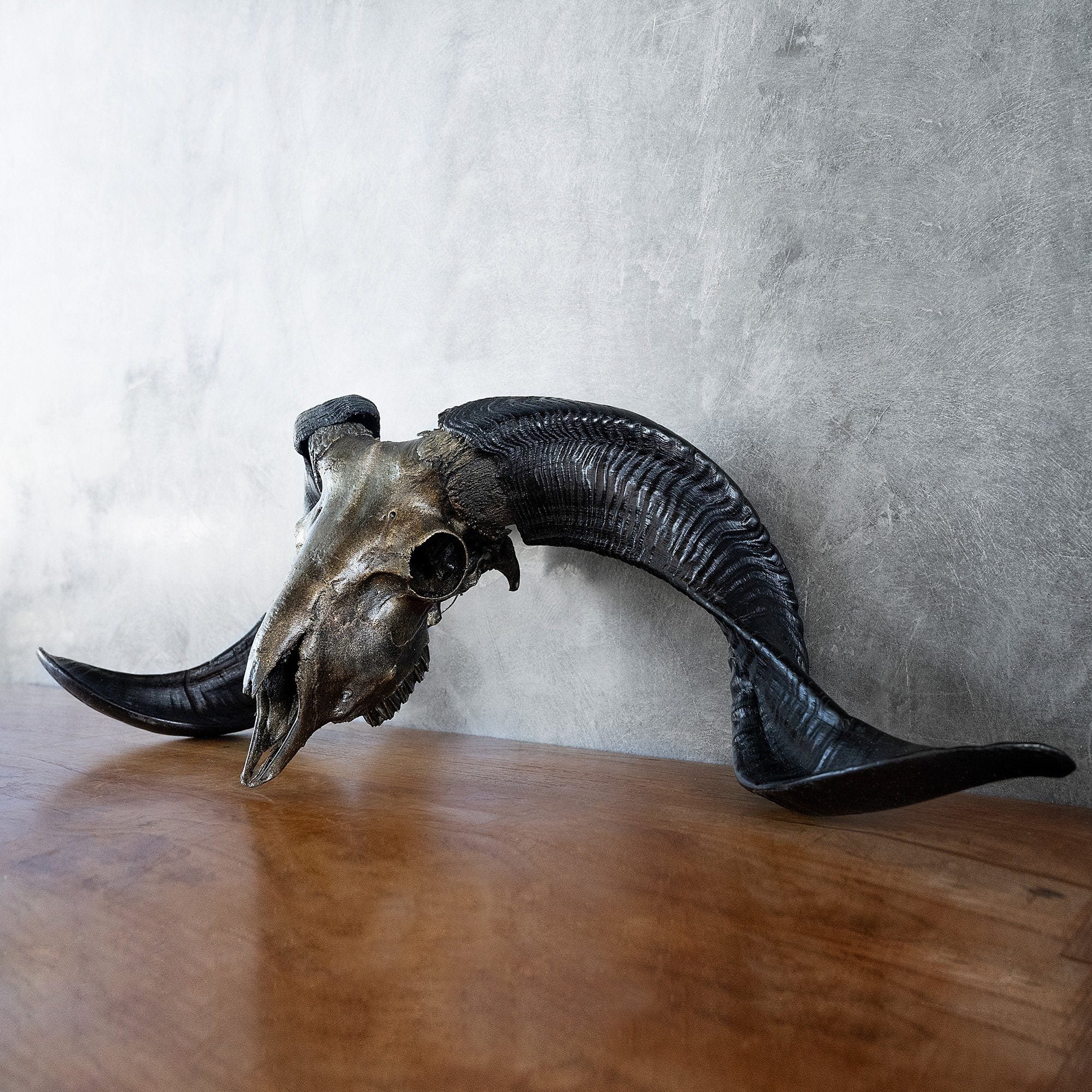 Ram Skull - Antique Bronze Storm // Metallic Finish