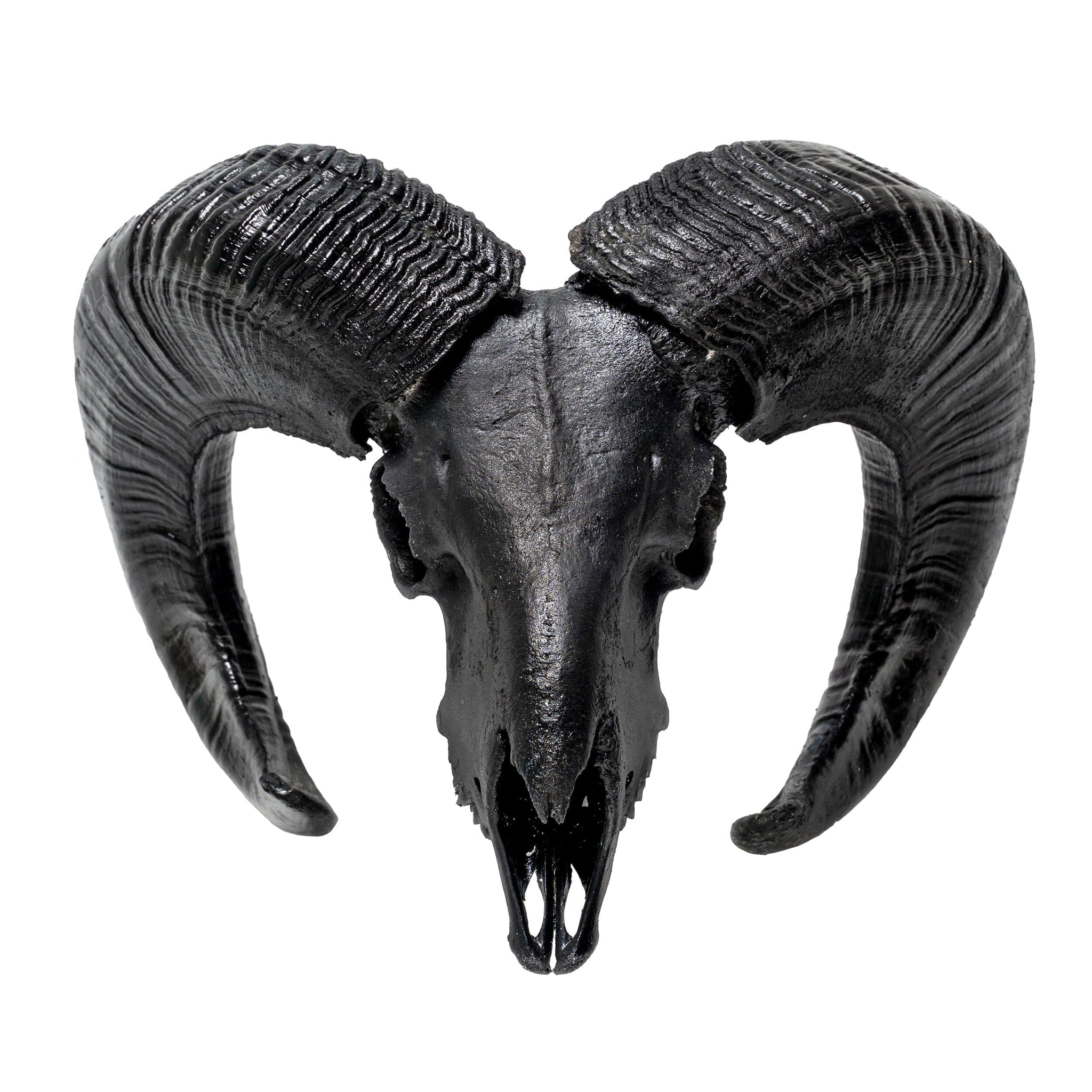 Ram Skull - Matte Black Storm