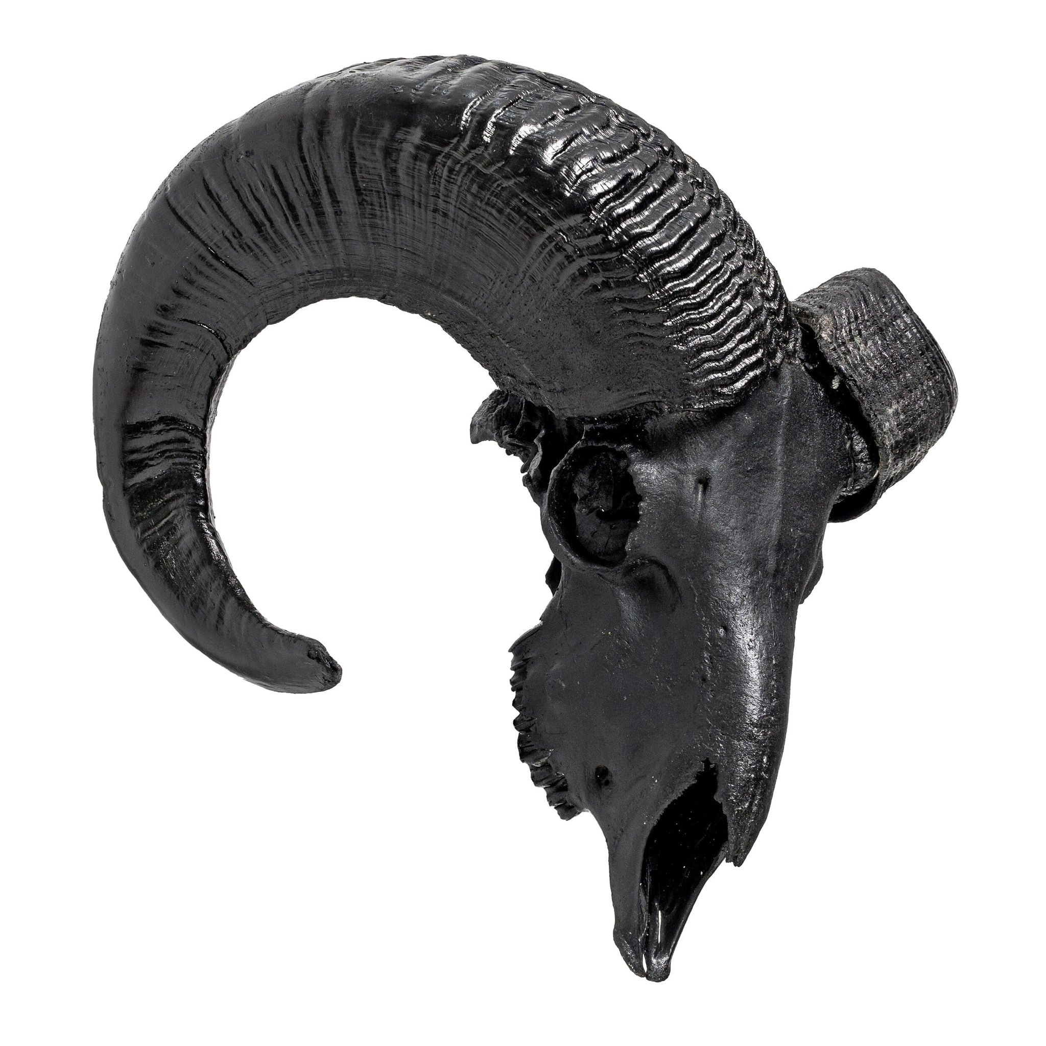 Ram Skull - Matte Black Storm