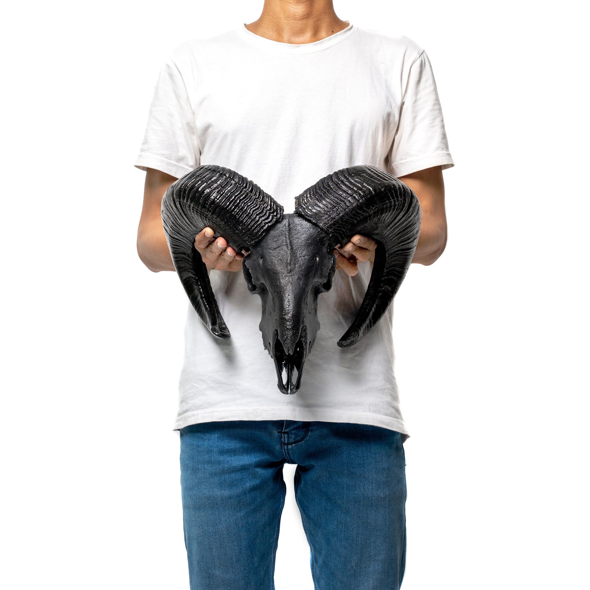 Ram Skull - Matte Black Storm