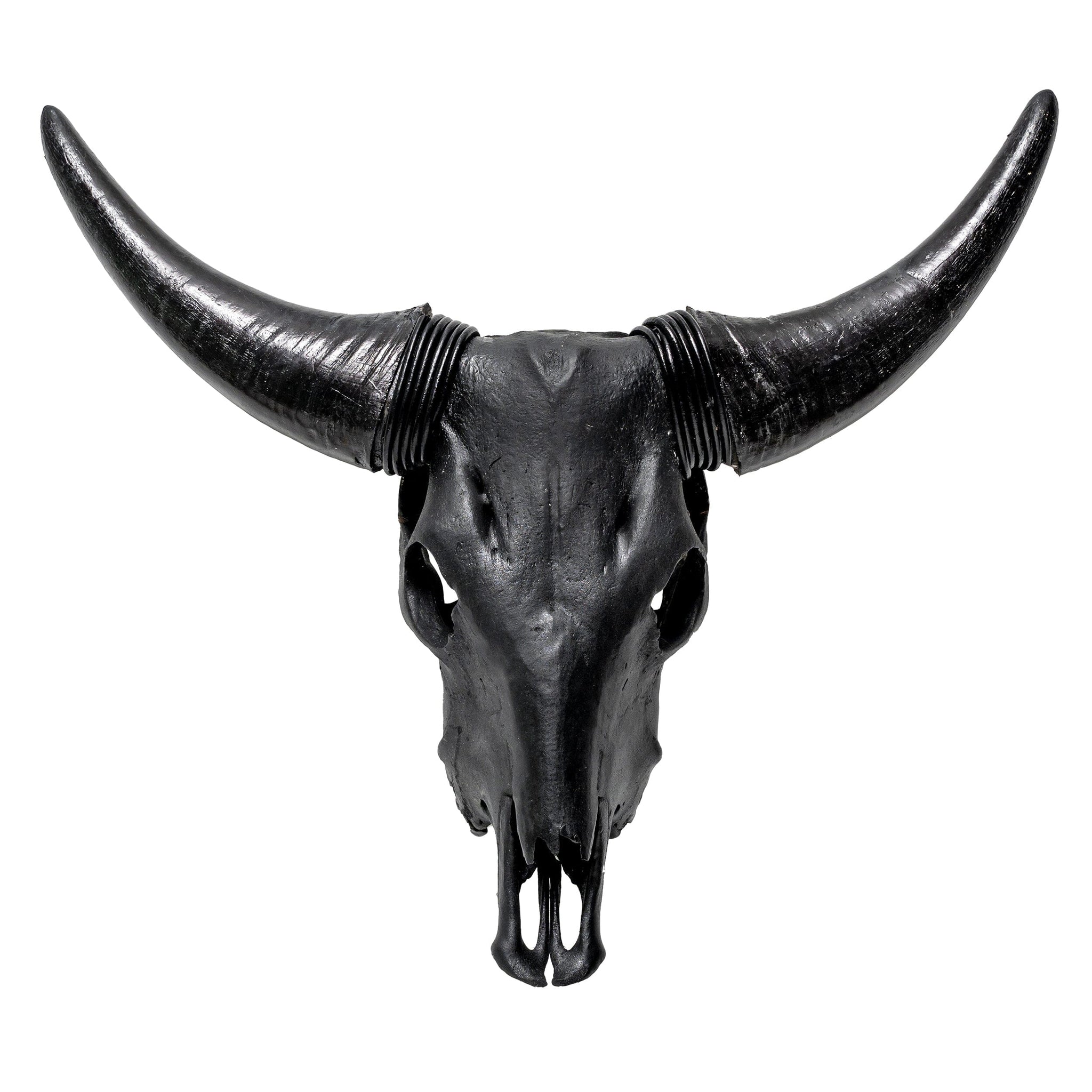 Cow Skull - Matte Black Storm