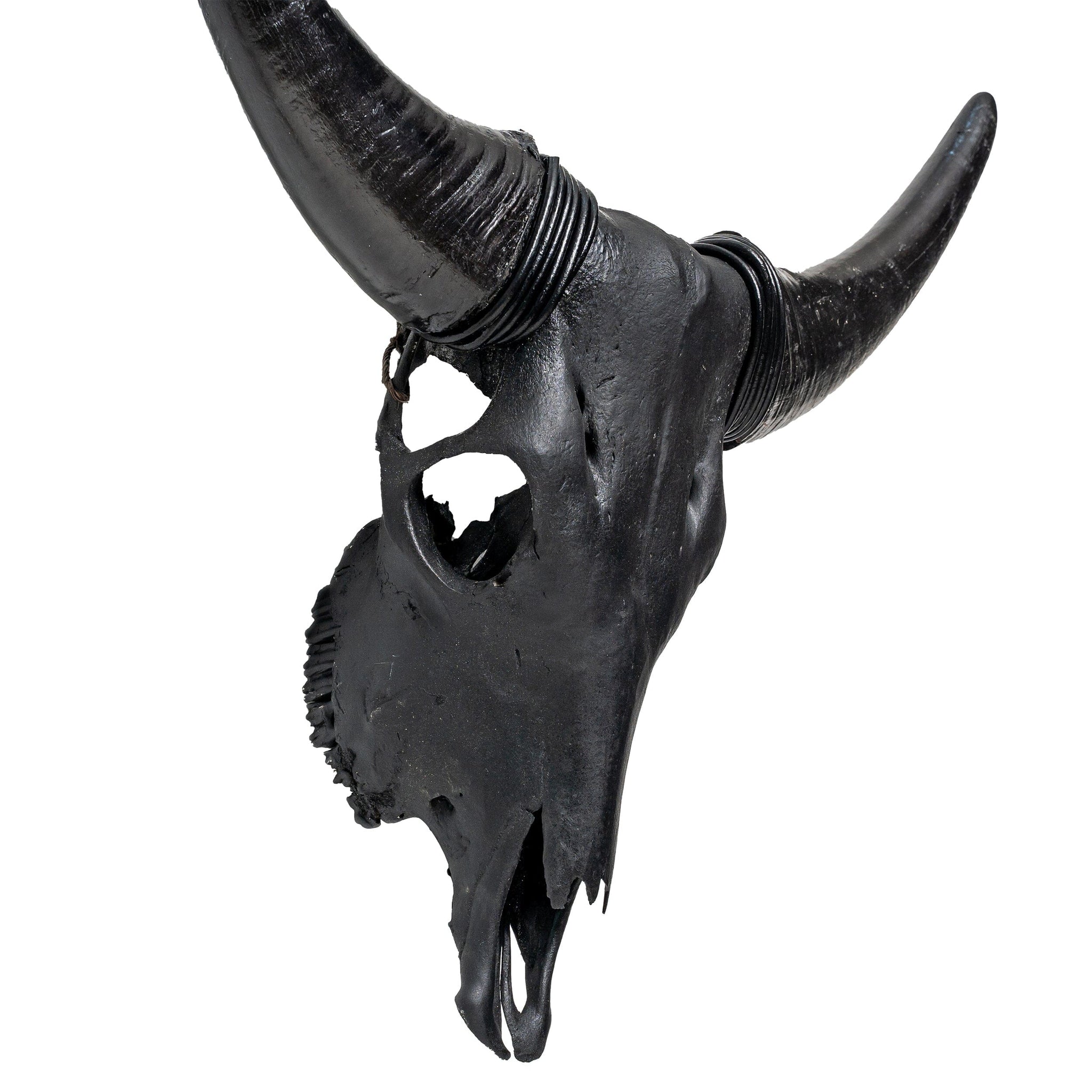 Cow Skull - Matte Black Storm