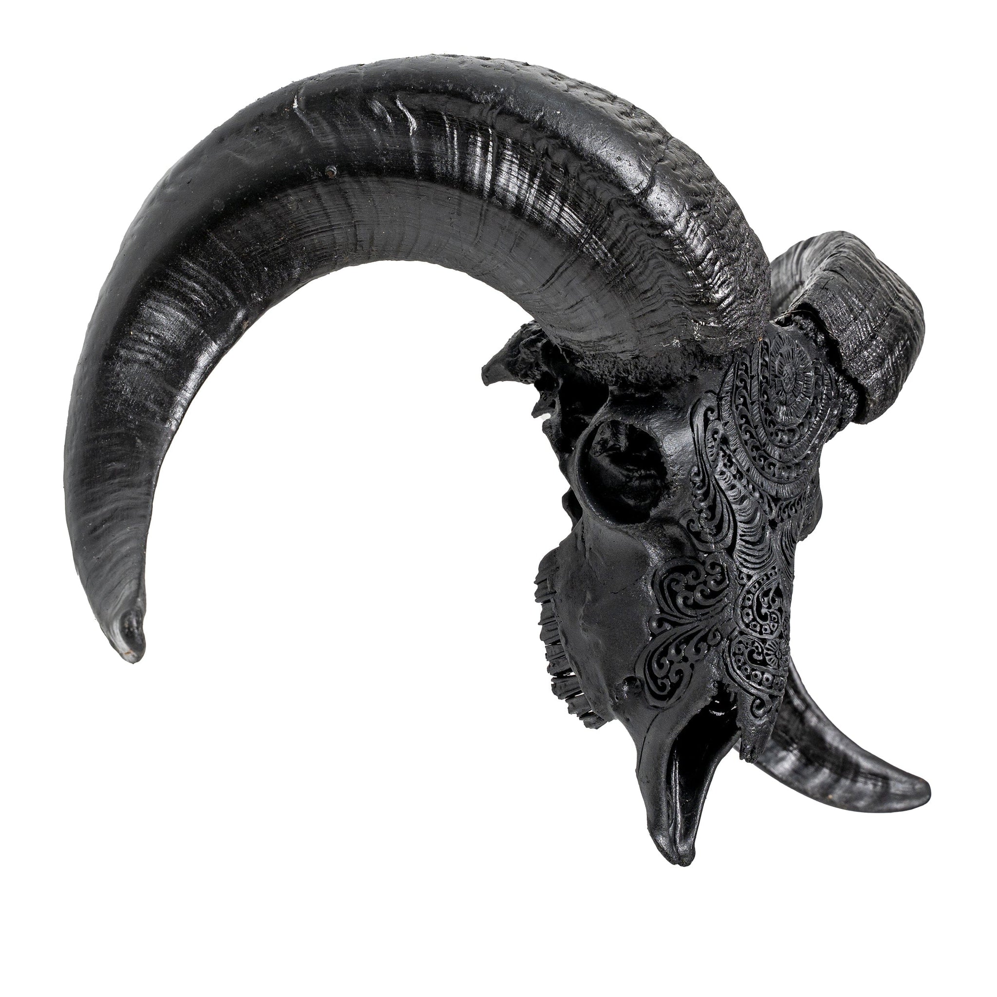 Hand Carved Ram Skull - Matte Black Boho