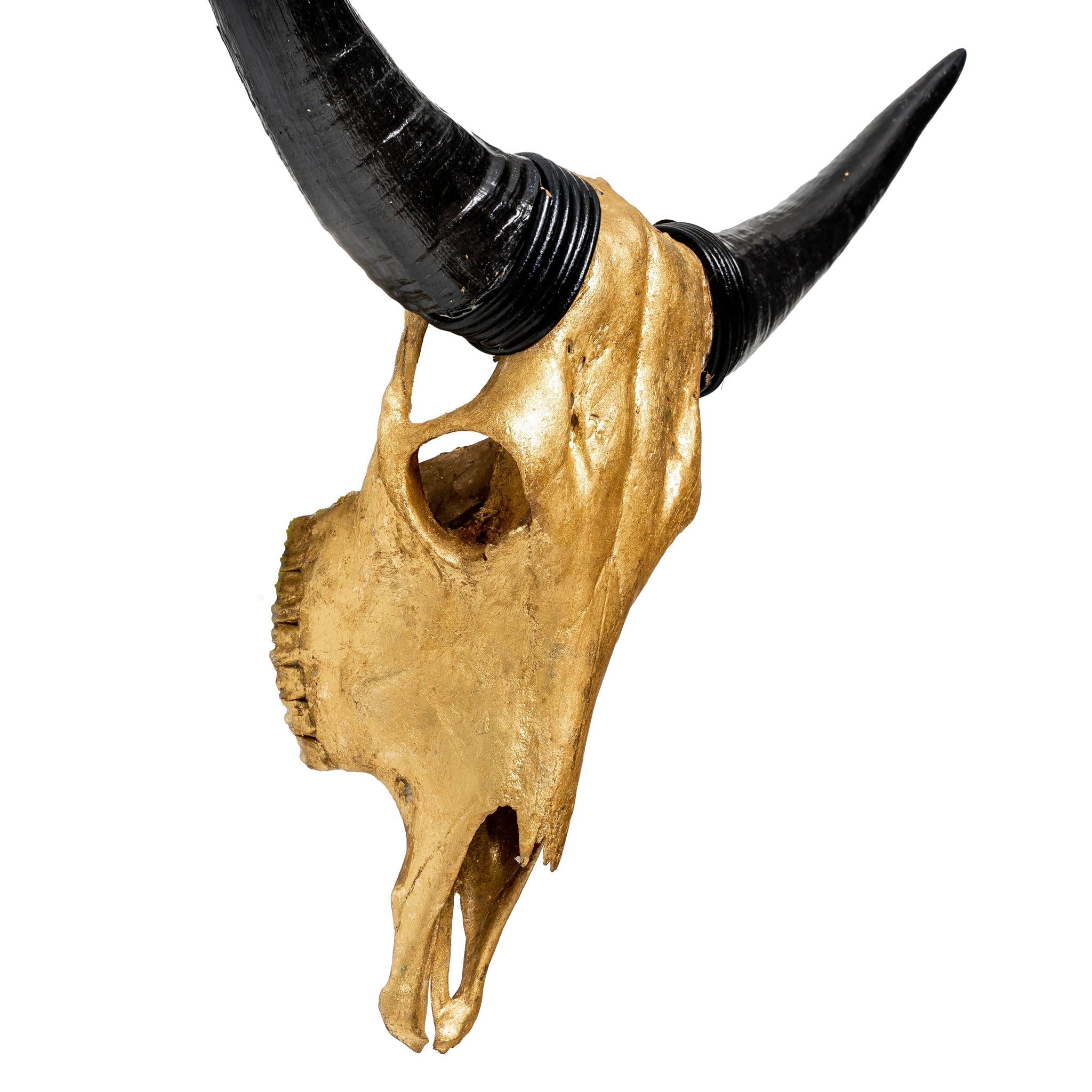 Cow Skull - Gold Leaf Storm
