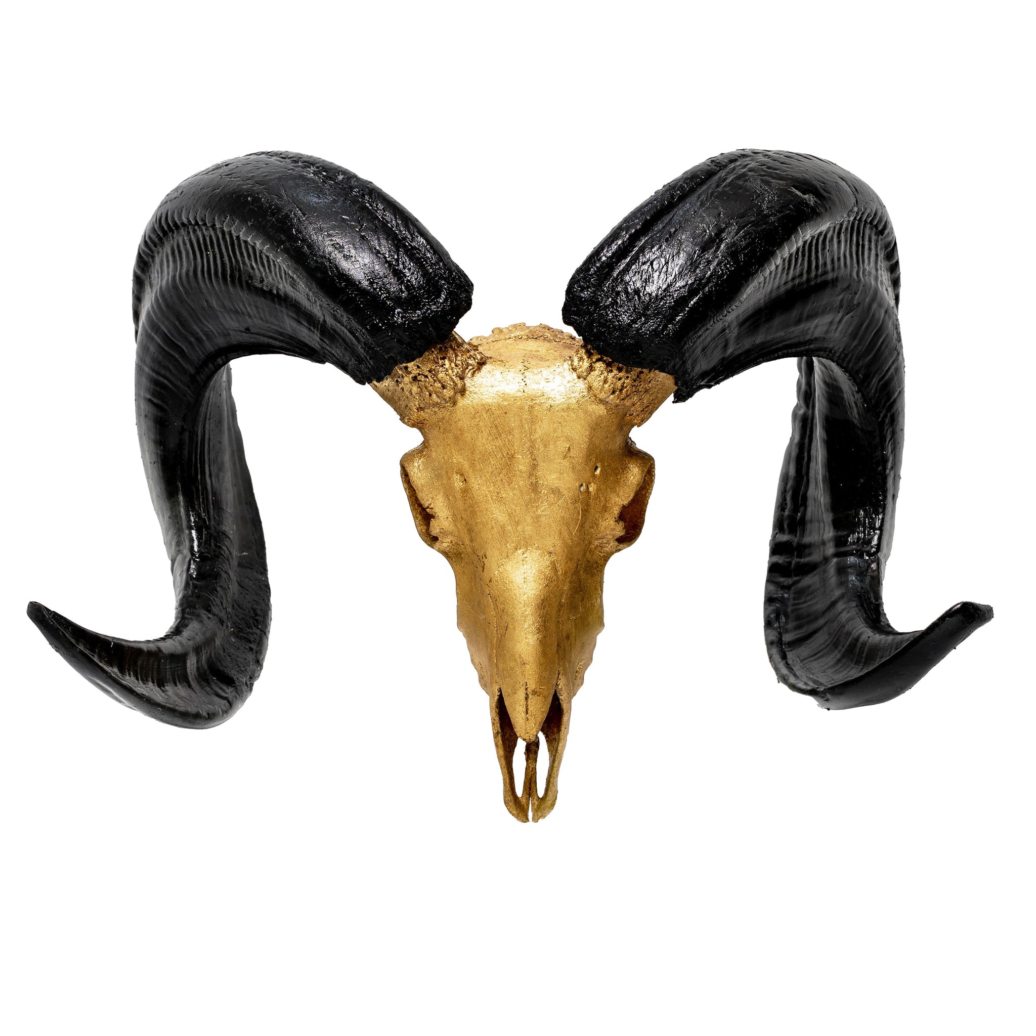 Ram Skull - Gold Leaf Storm